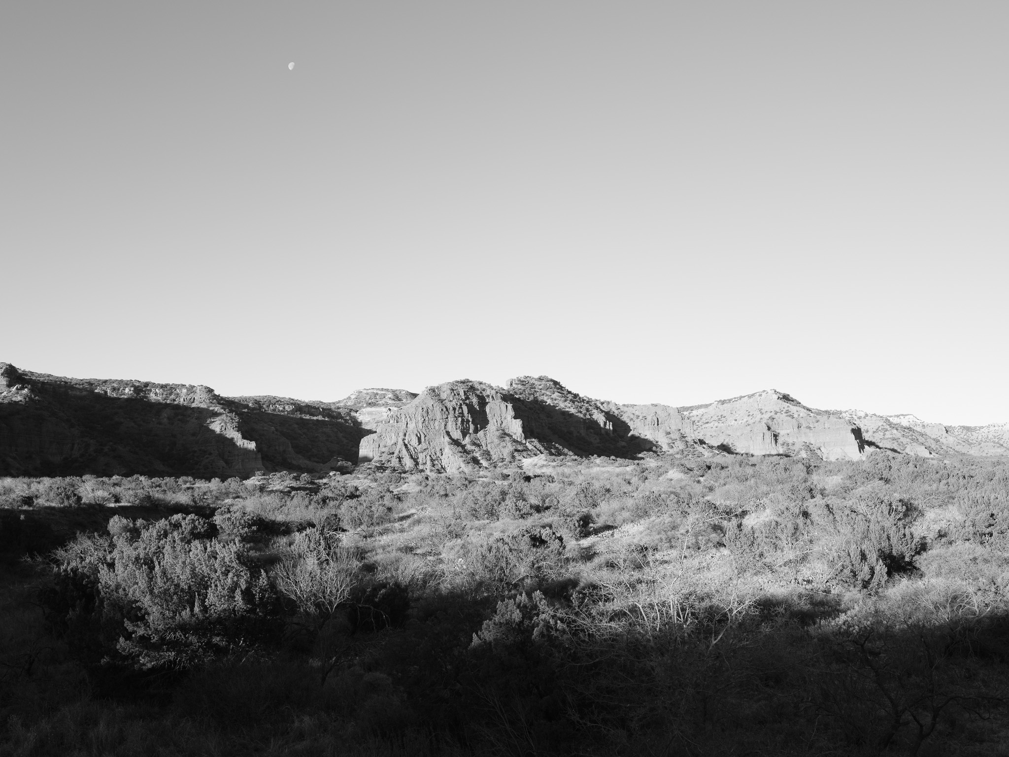 Caprock Canyon State Park II