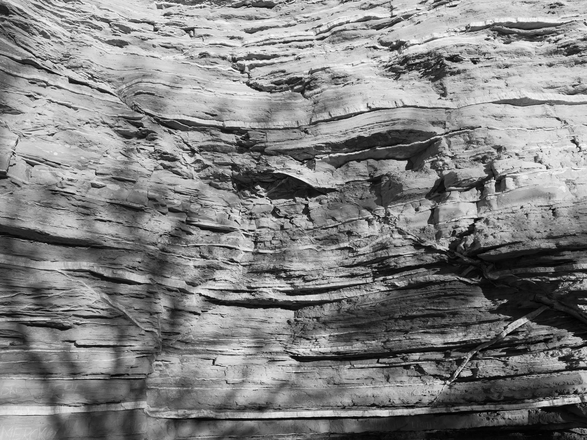 Caprock Canyon State Park IV