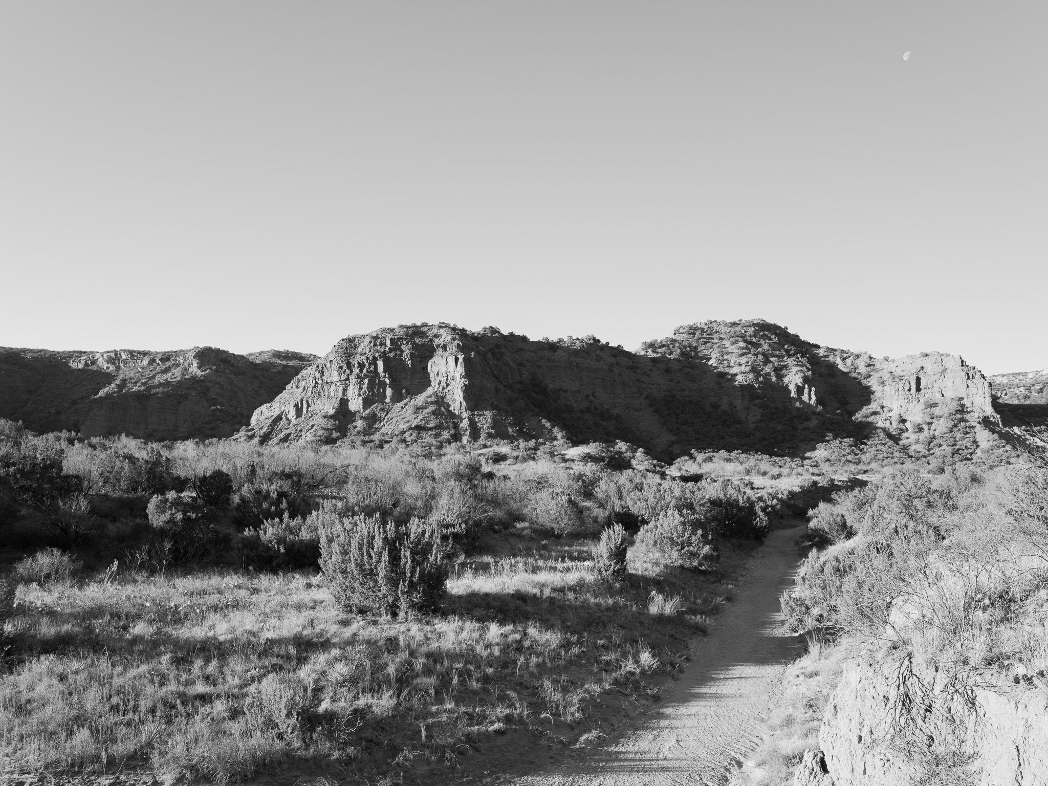 Caprock Canyon State Park VII