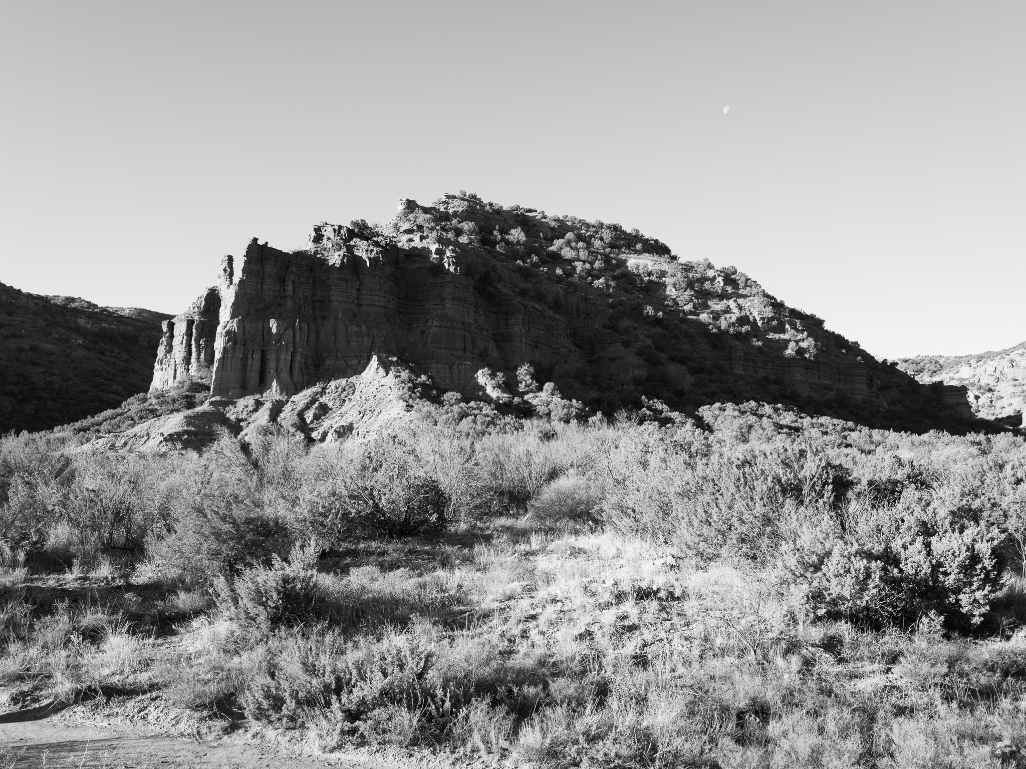 Caprock Canyon State Park IX