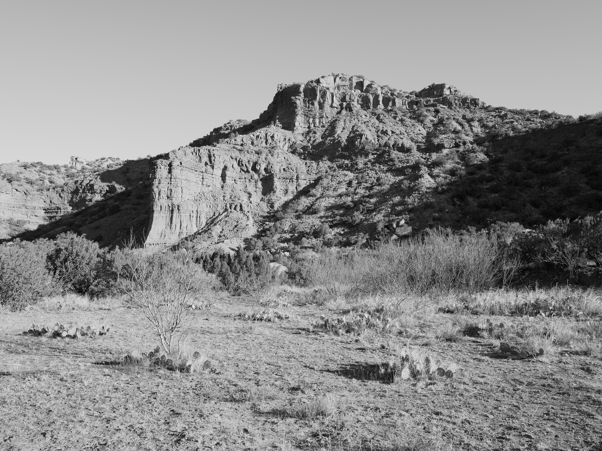 Caprock Canyon State Park X