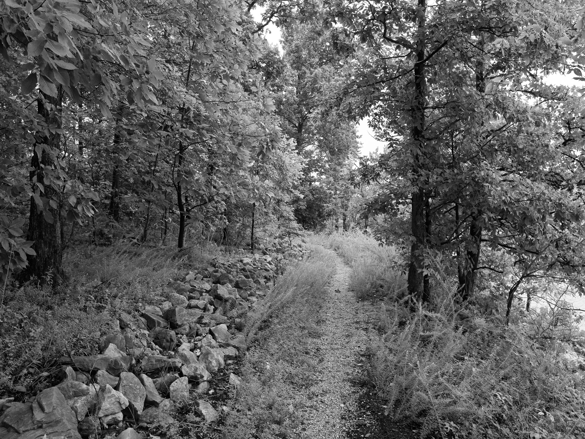 Cave Run Lake 3