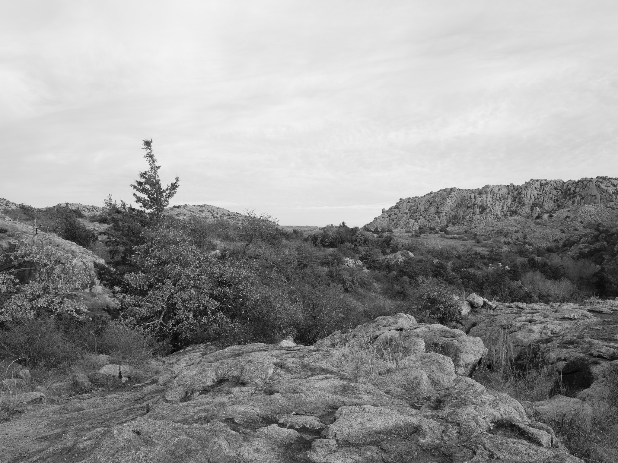 Charon’s Garden II