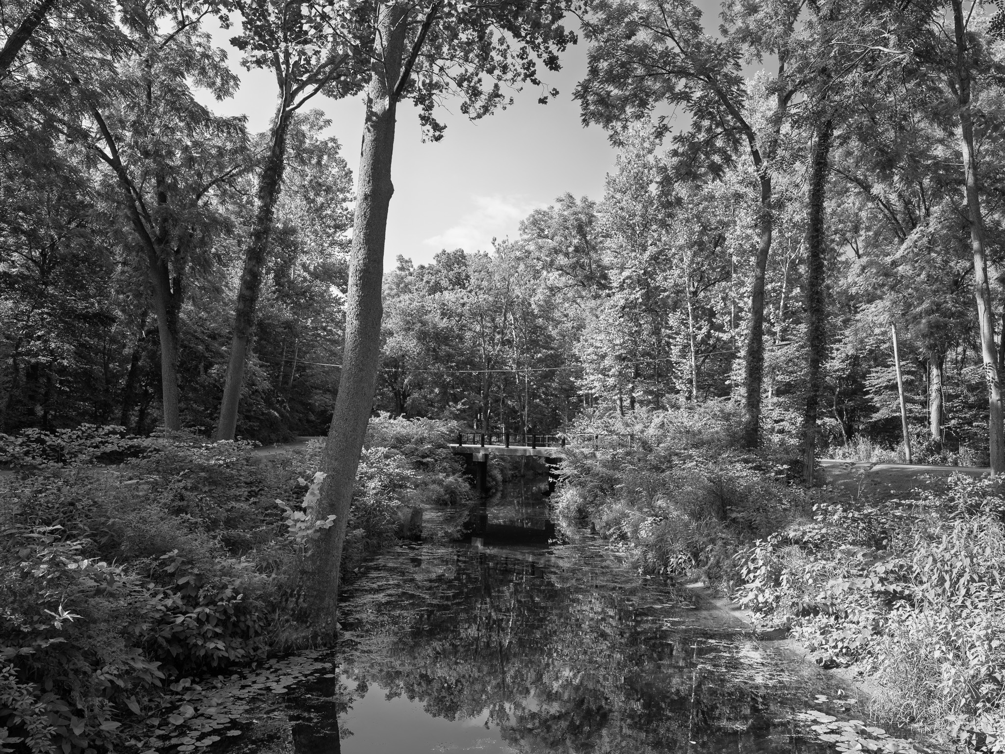Chain O'Lakes State Park 4