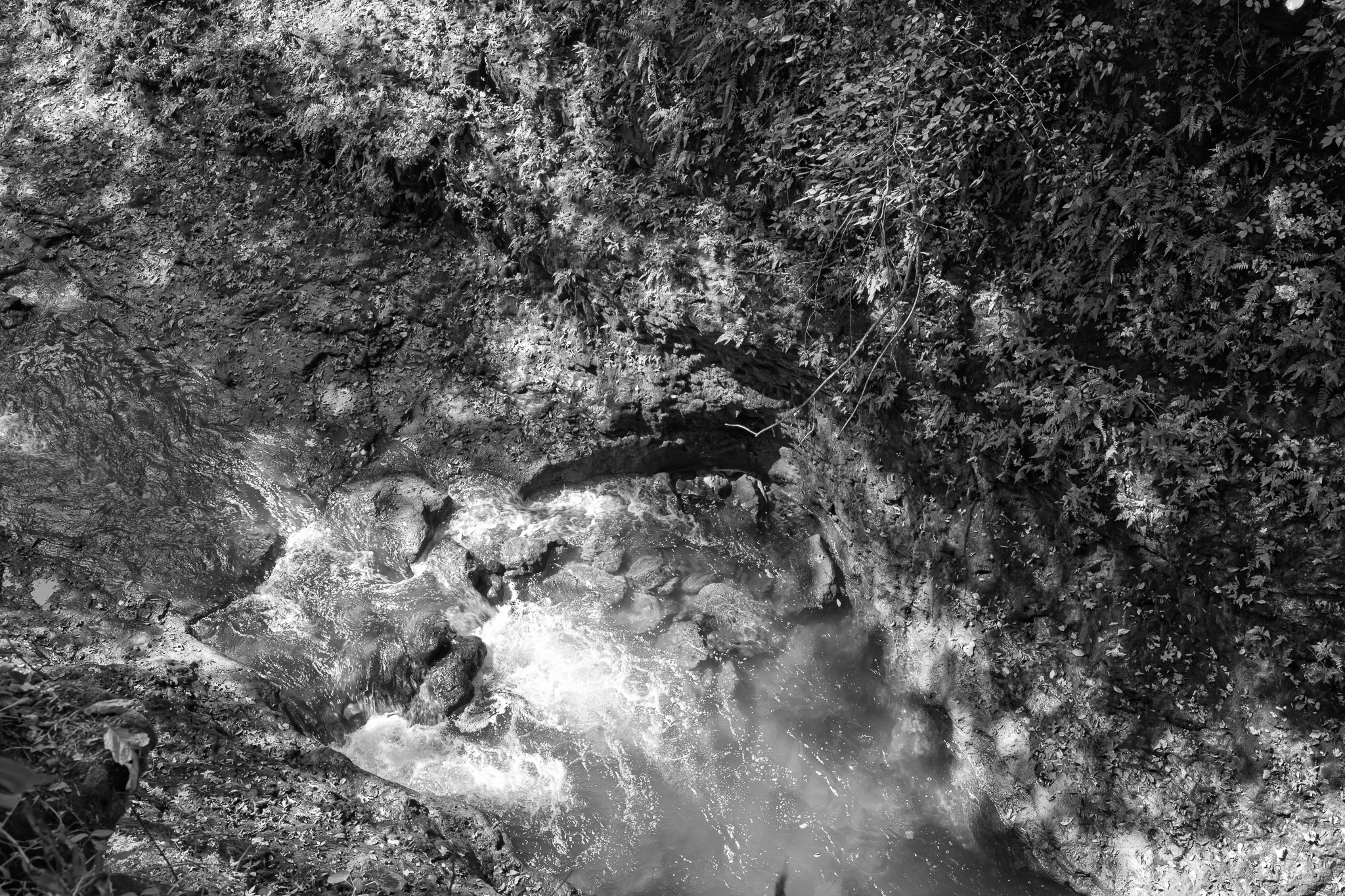 Clifton Gorge State Nature Preserve I