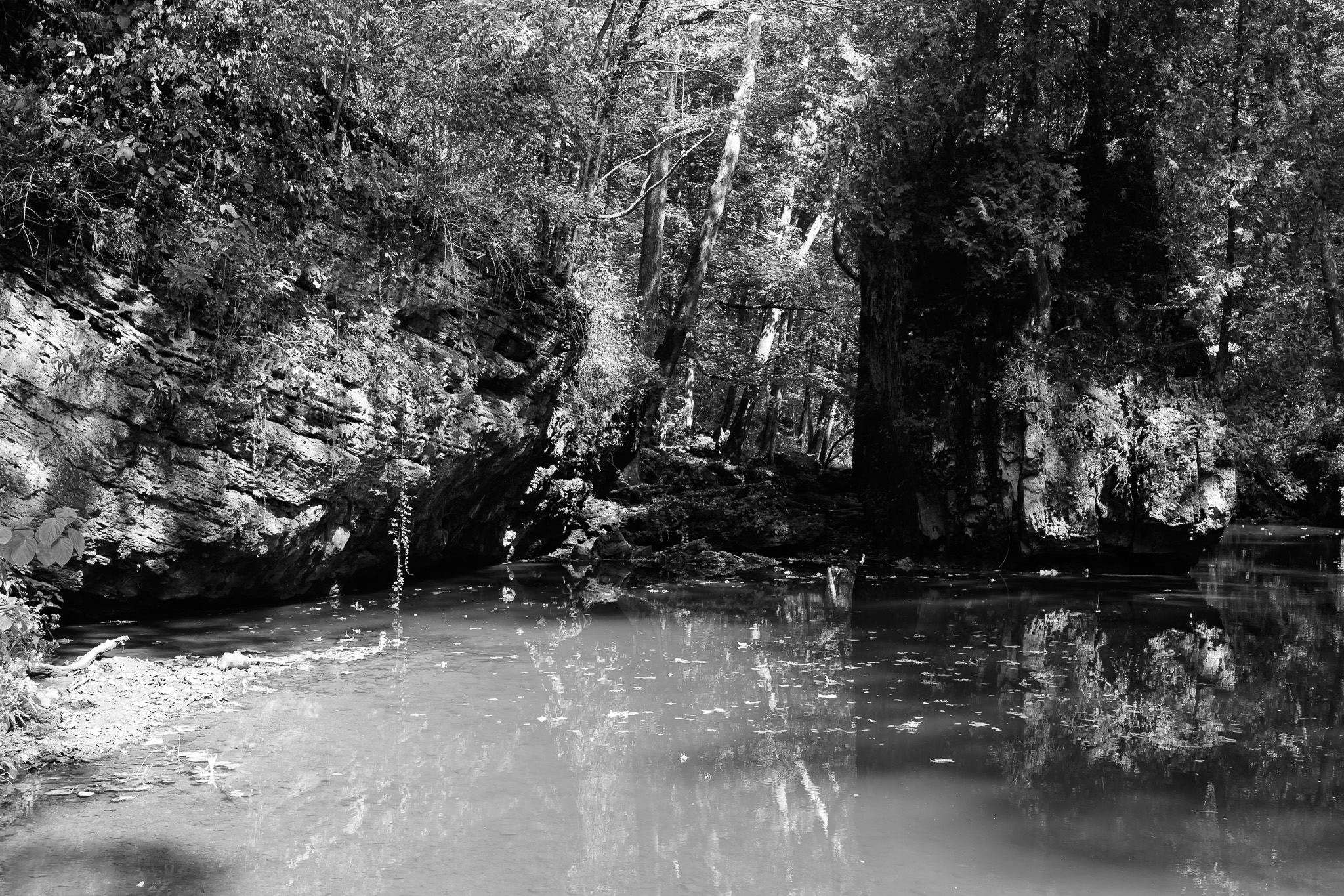 Clifton Gorge State Nature Preserve II