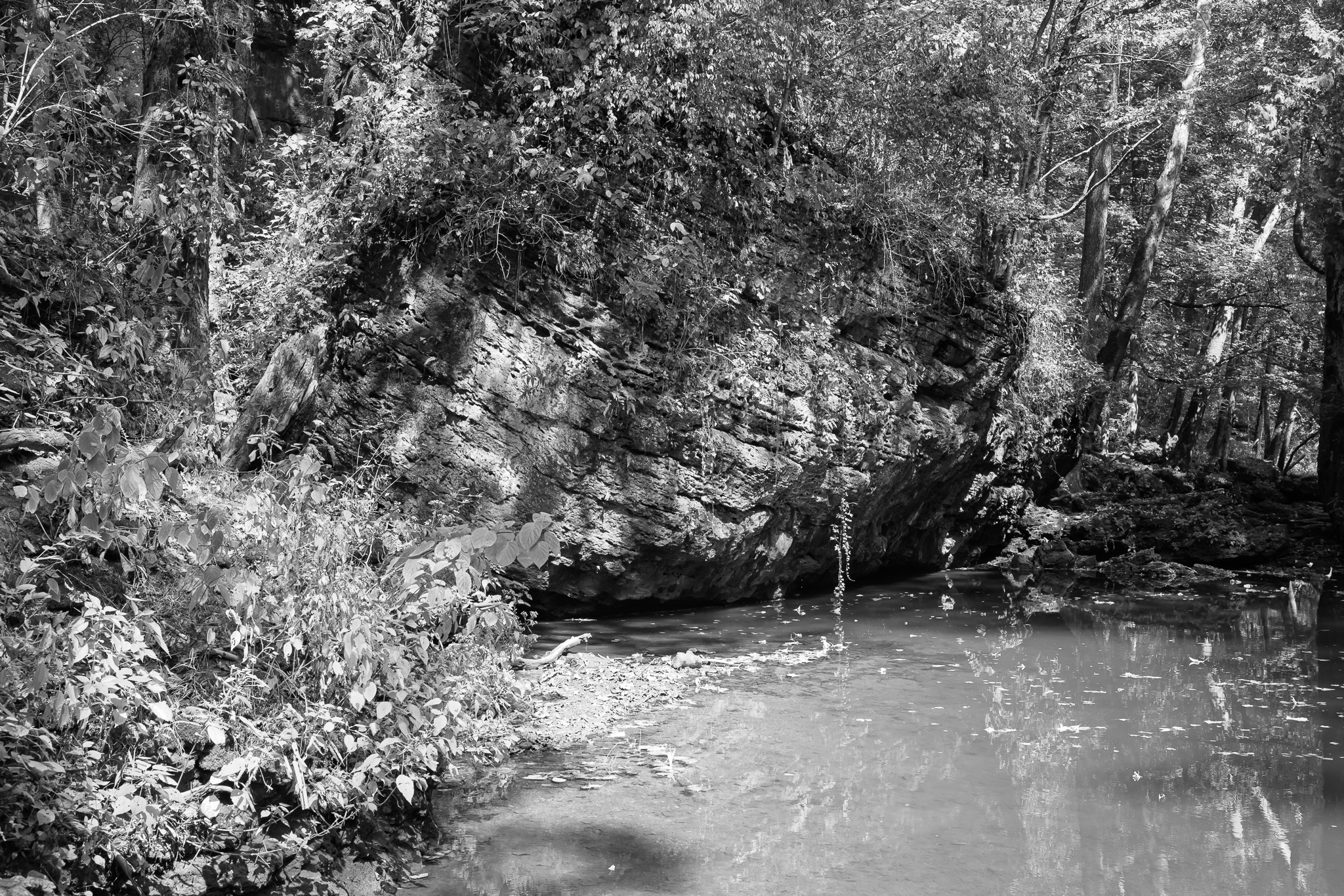 Clifton Gorge State Nature Preserve III