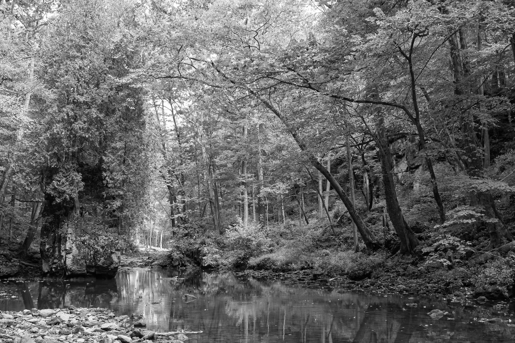 Clifton Gorge State Nature Preserve IV