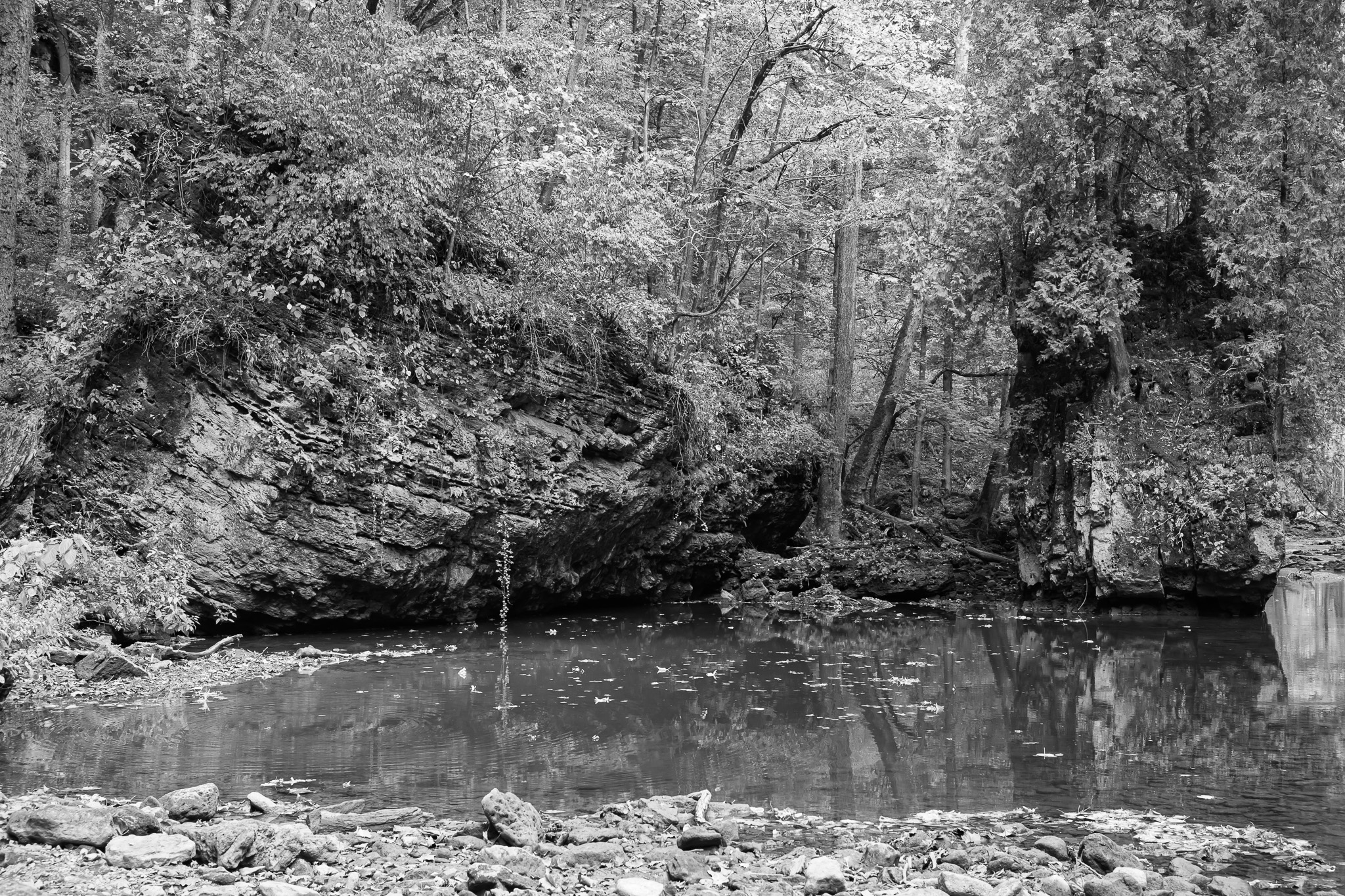 Clifton Gorge State Nature Preserve V