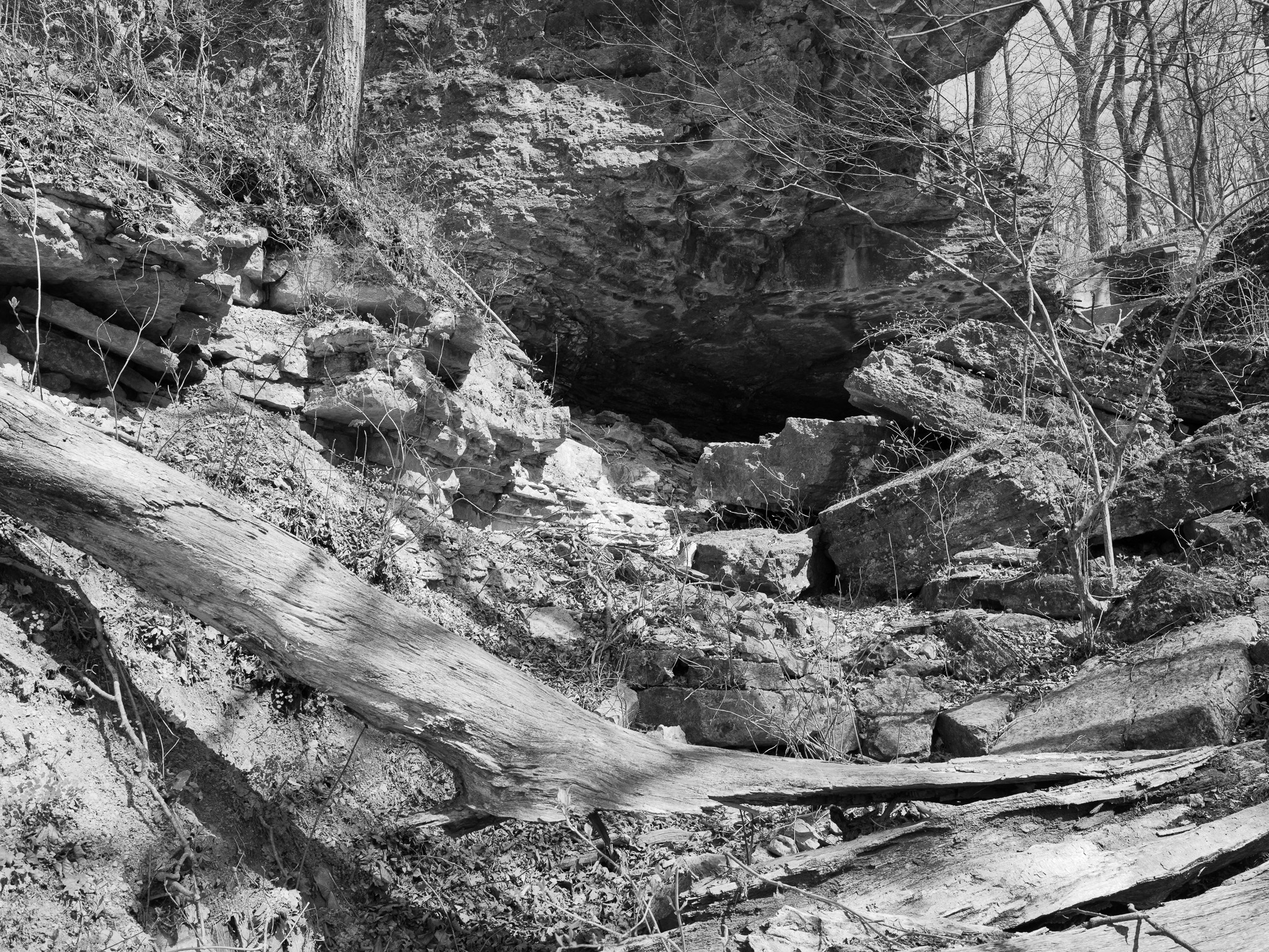 Clifty Falls State Park III