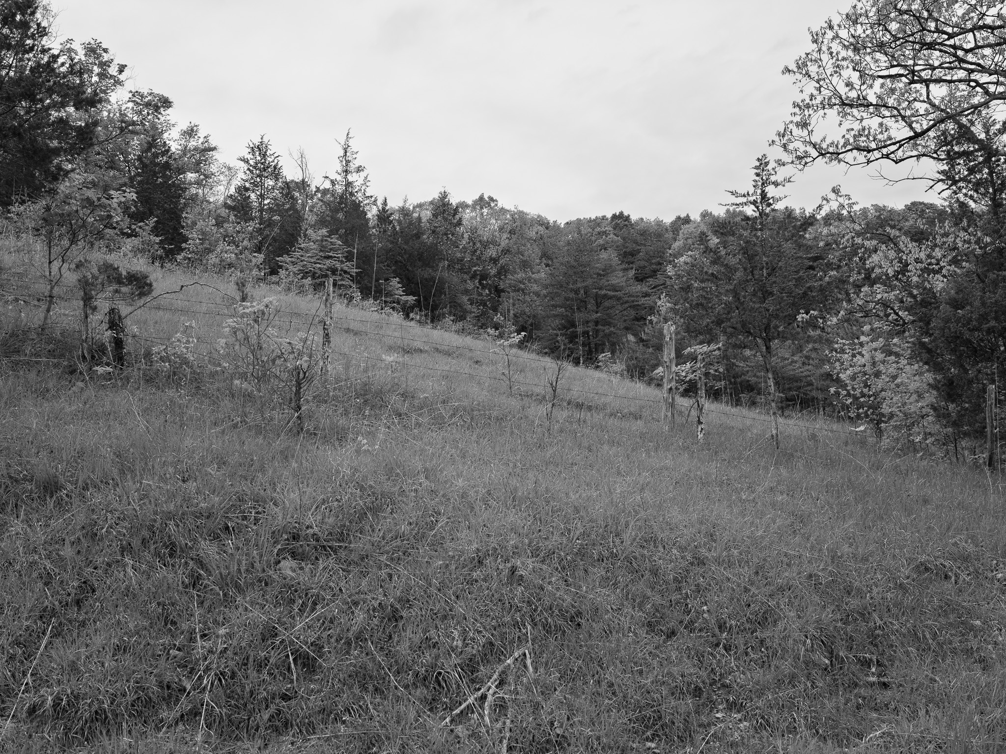 Edge of Appalachia Preserve XIV