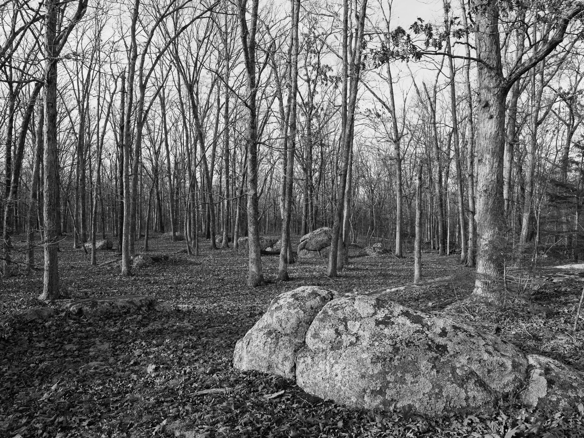 Elephant Rocks State Park I