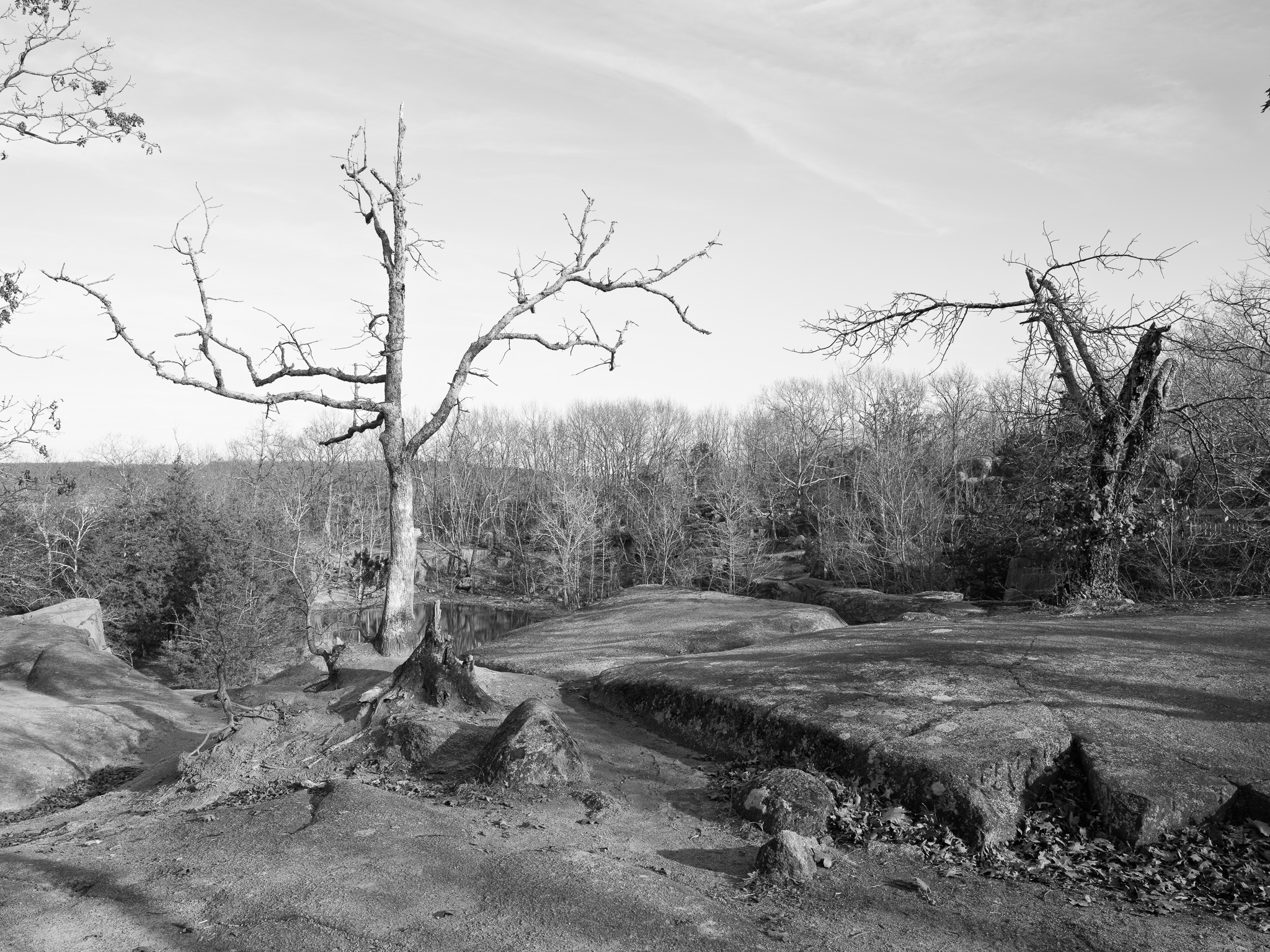 Elephant Rocks State Park II