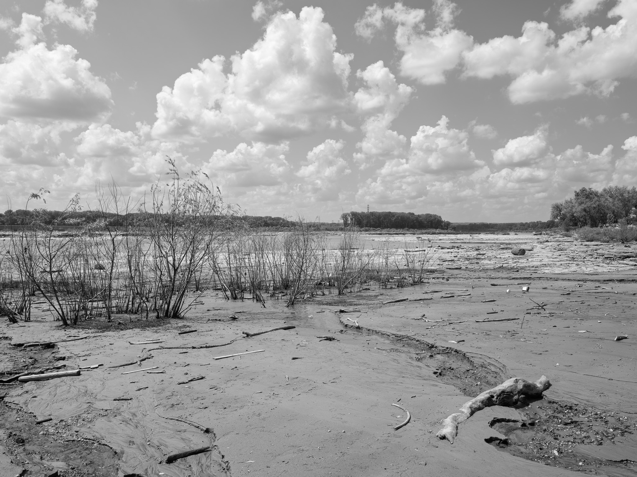 Falls of the Ohio State Park 2
