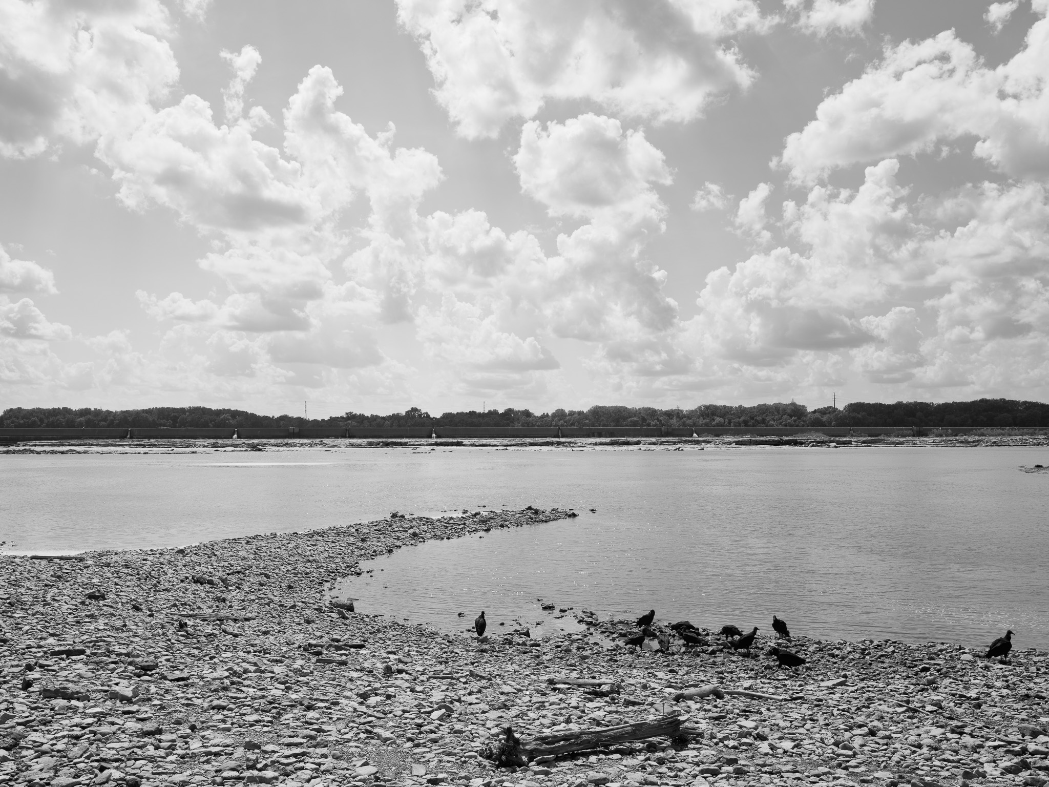 Falls of the Ohio State Park 4