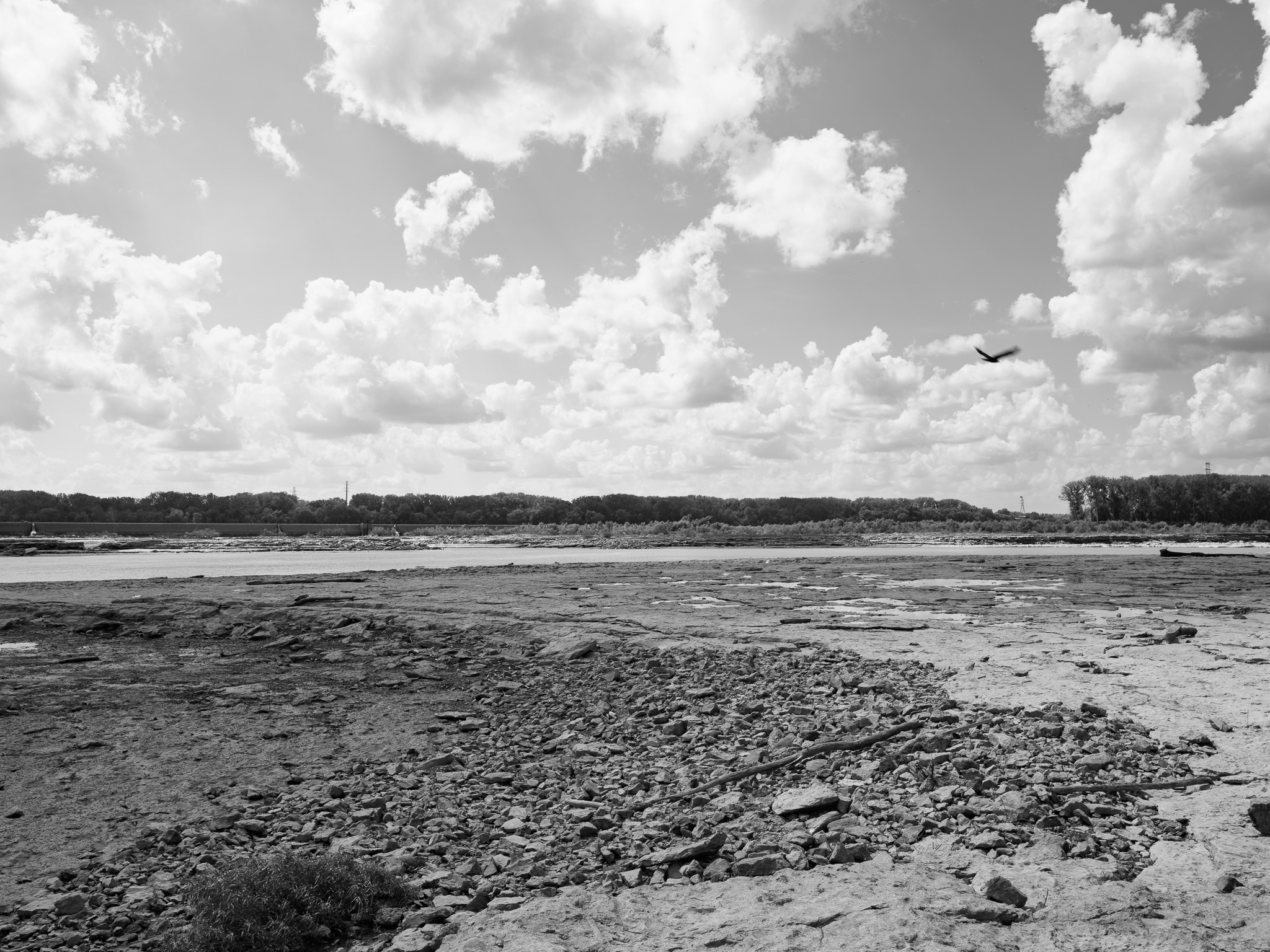 Falls of the Ohio State Park 5