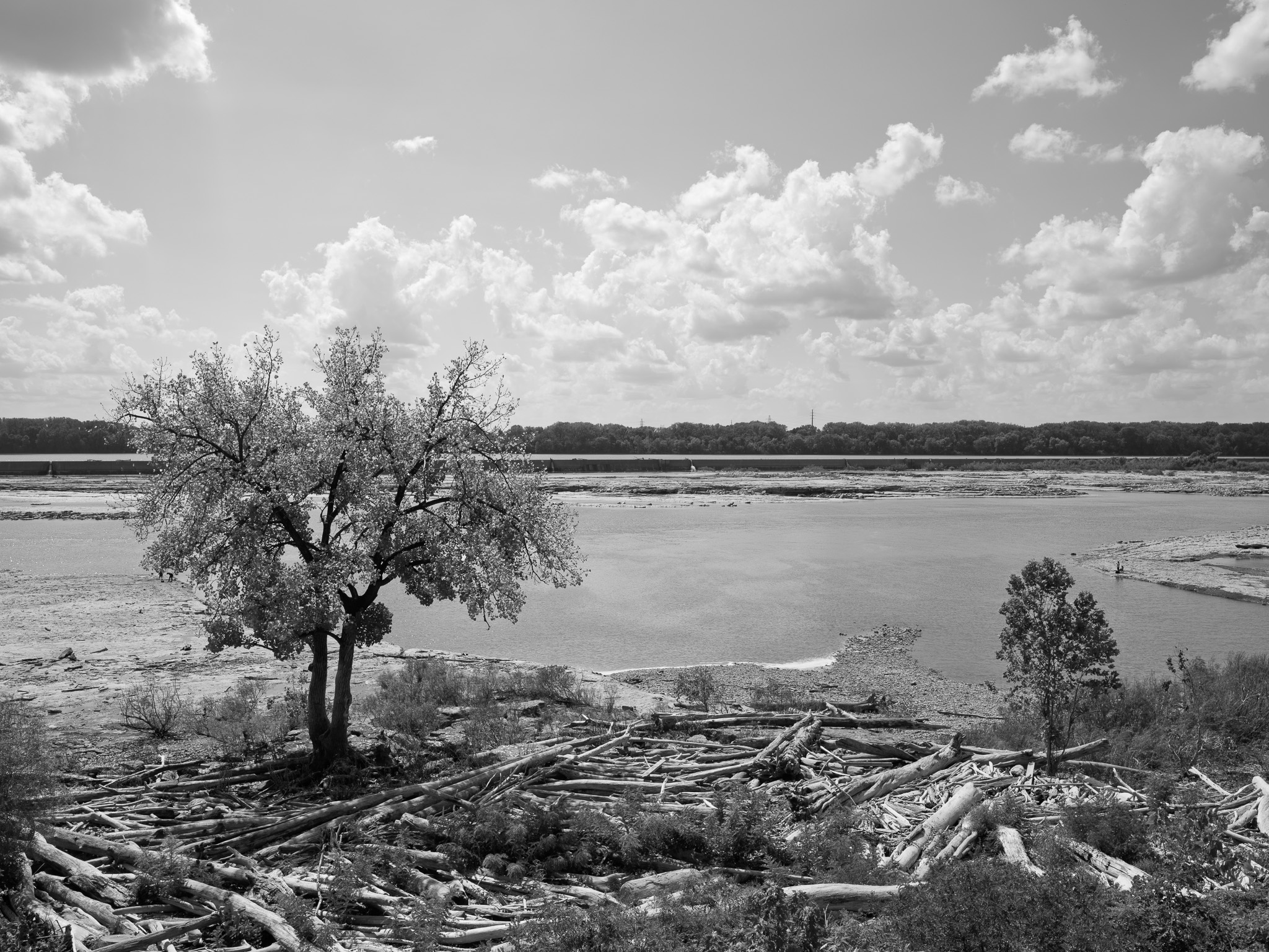 Falls of the Ohio State Park 7