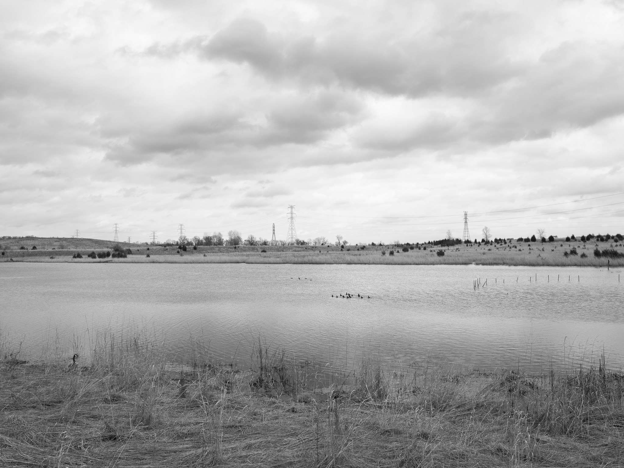 Fernald Preserve III