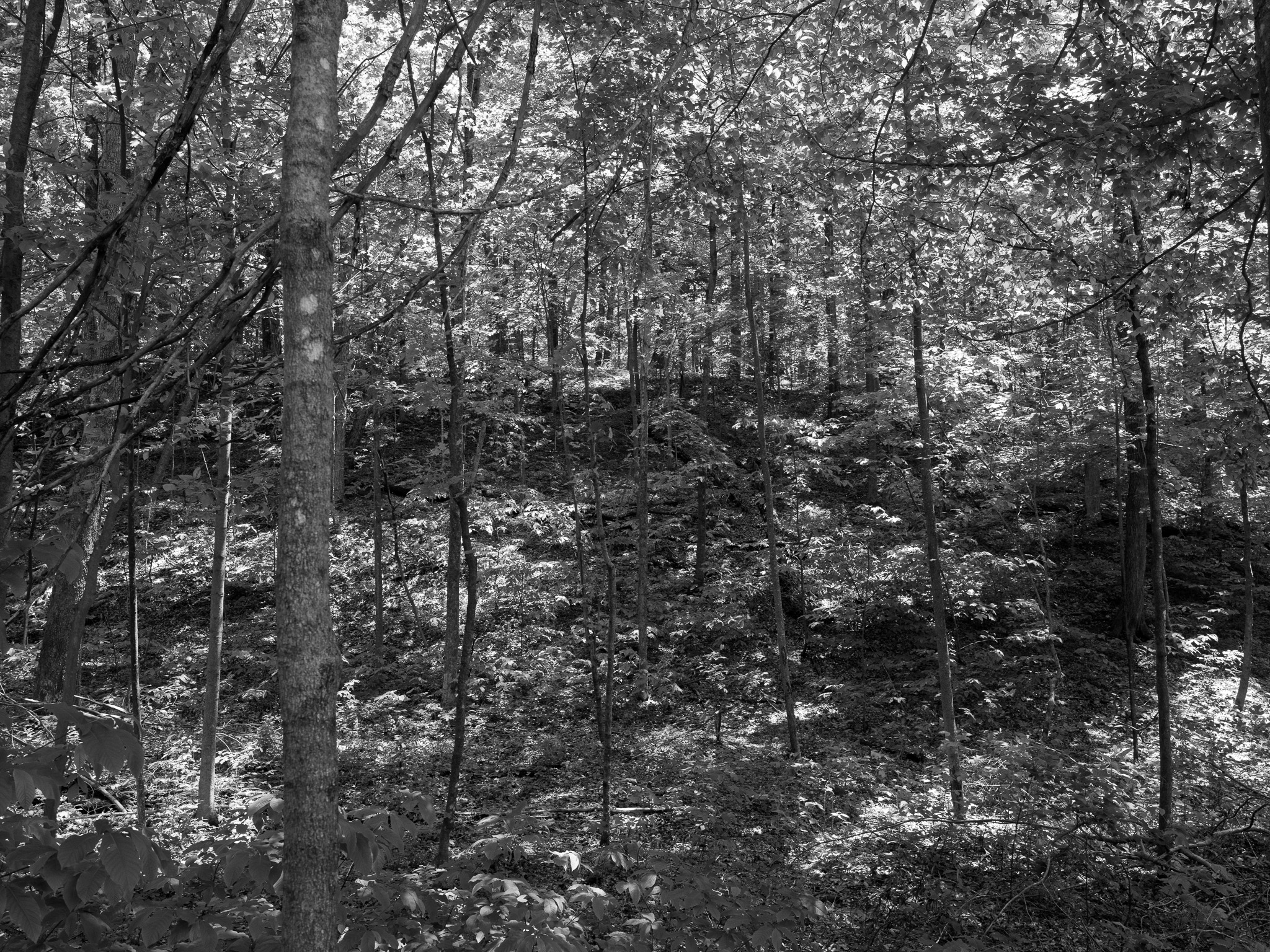 Fort Hill State Memorial 4