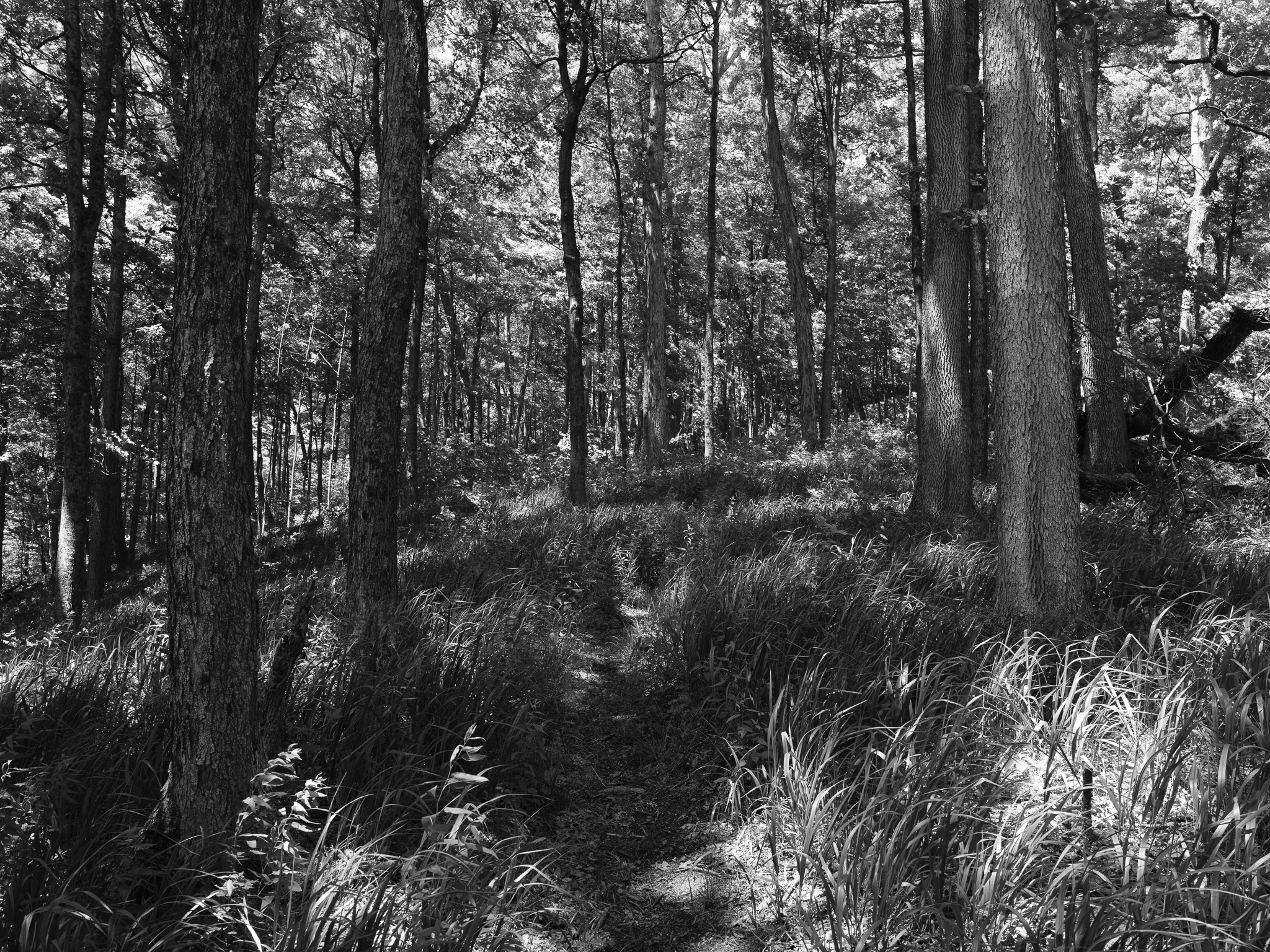 Fort Hill State Memorial 7