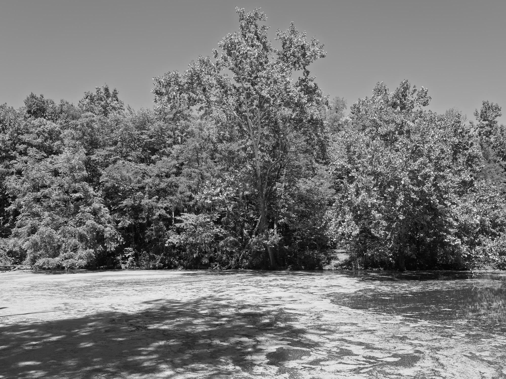 General Butler State Resort Park 1