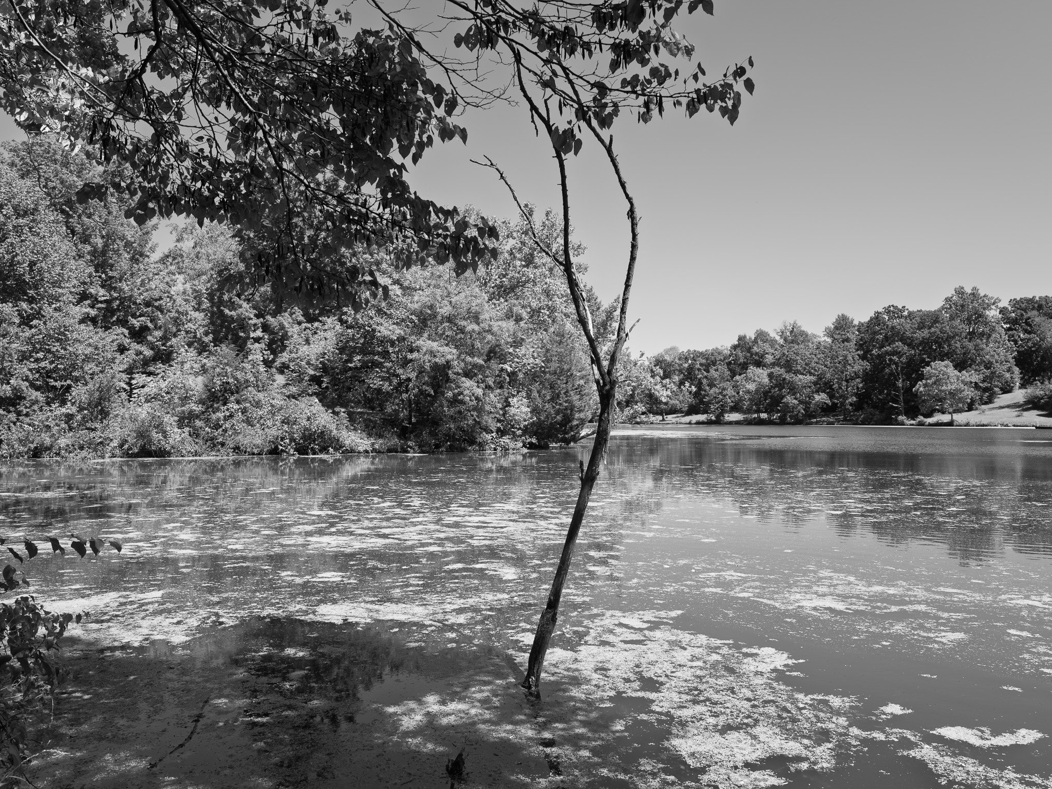 General Butler State Resort Park 2