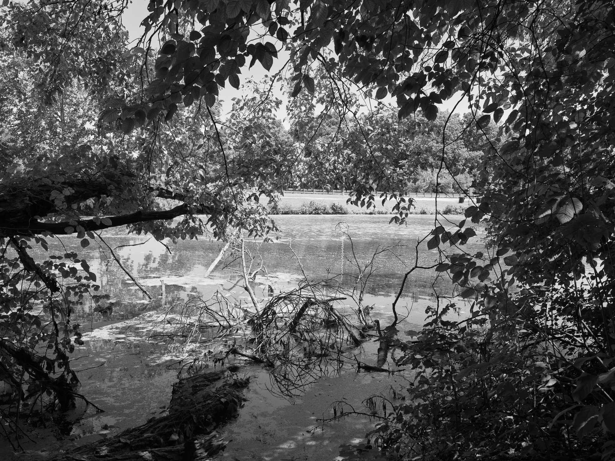 General Butler State Resort Park 3