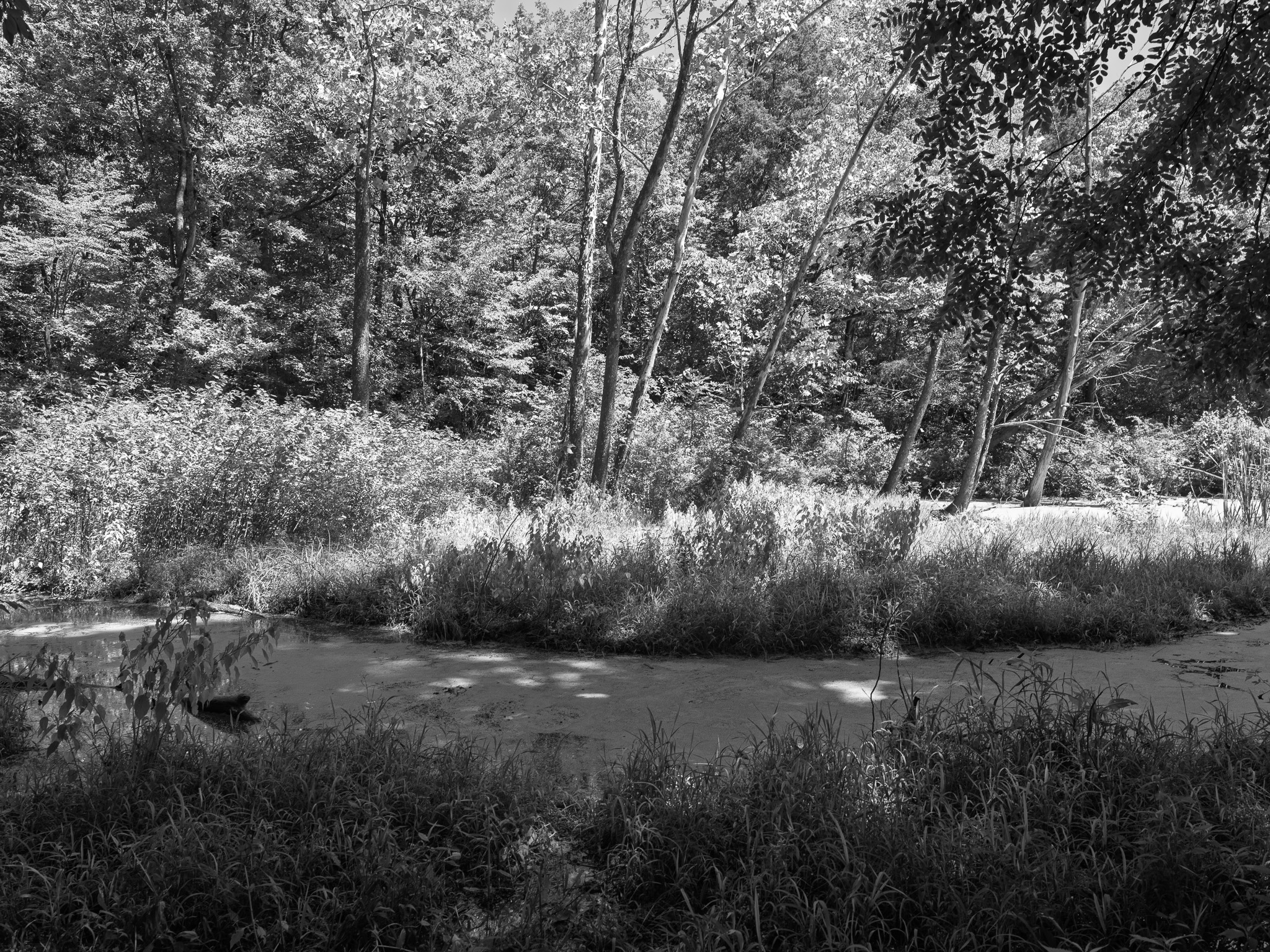 General Butler State Resort Park 5