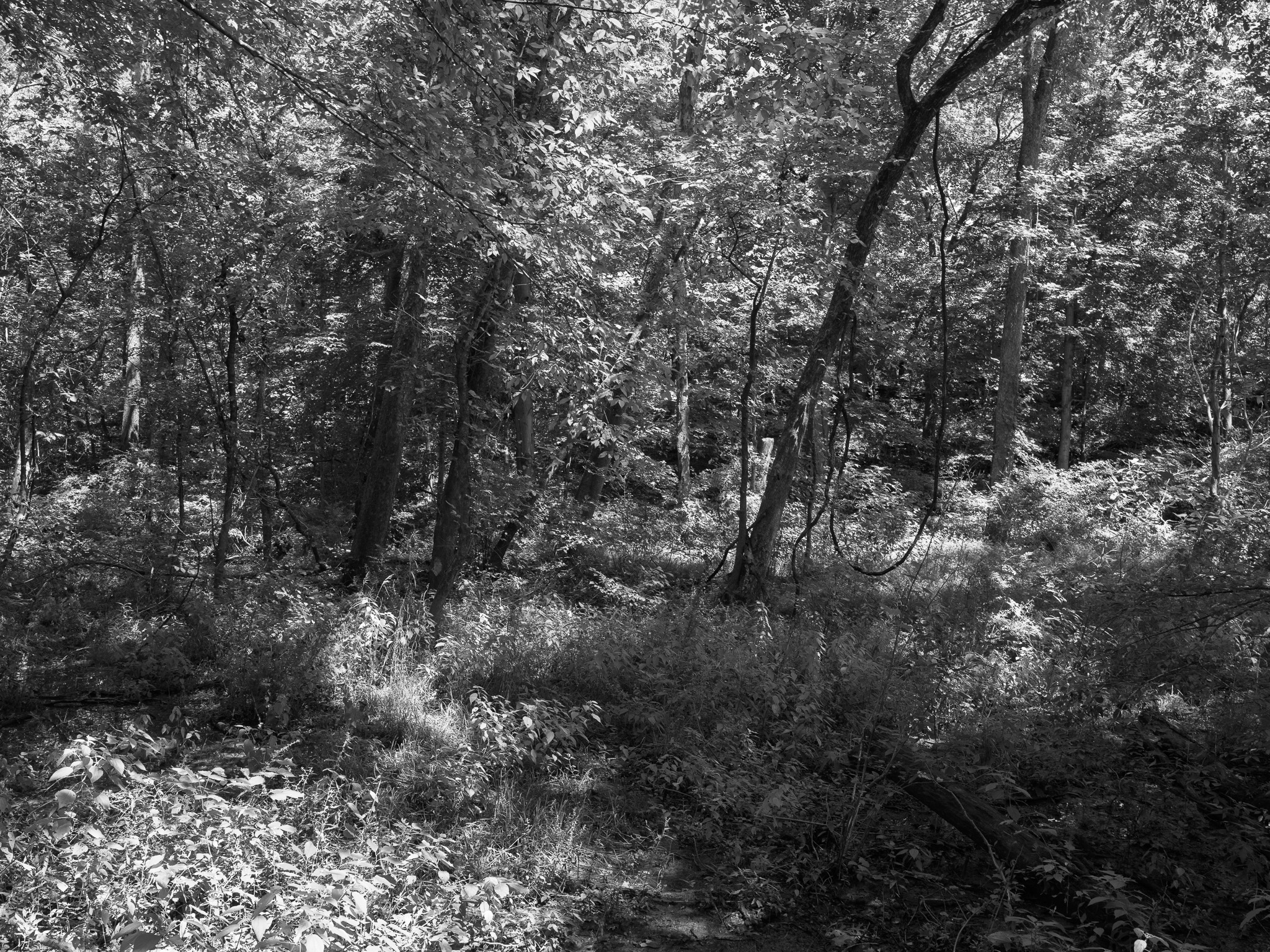 General Butler State Resort Park 6