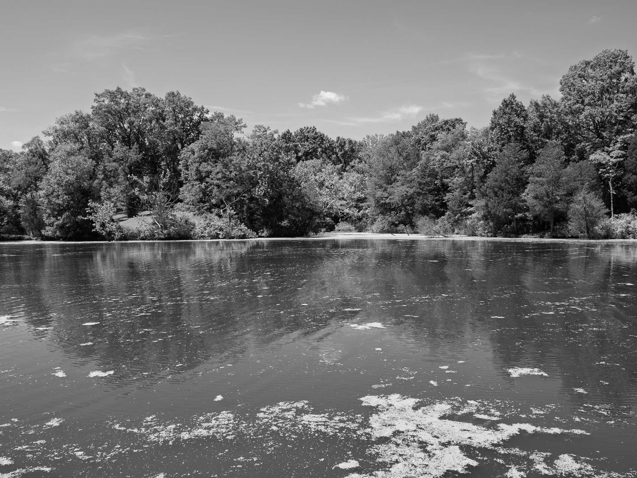 General Butler State Resort Park 7