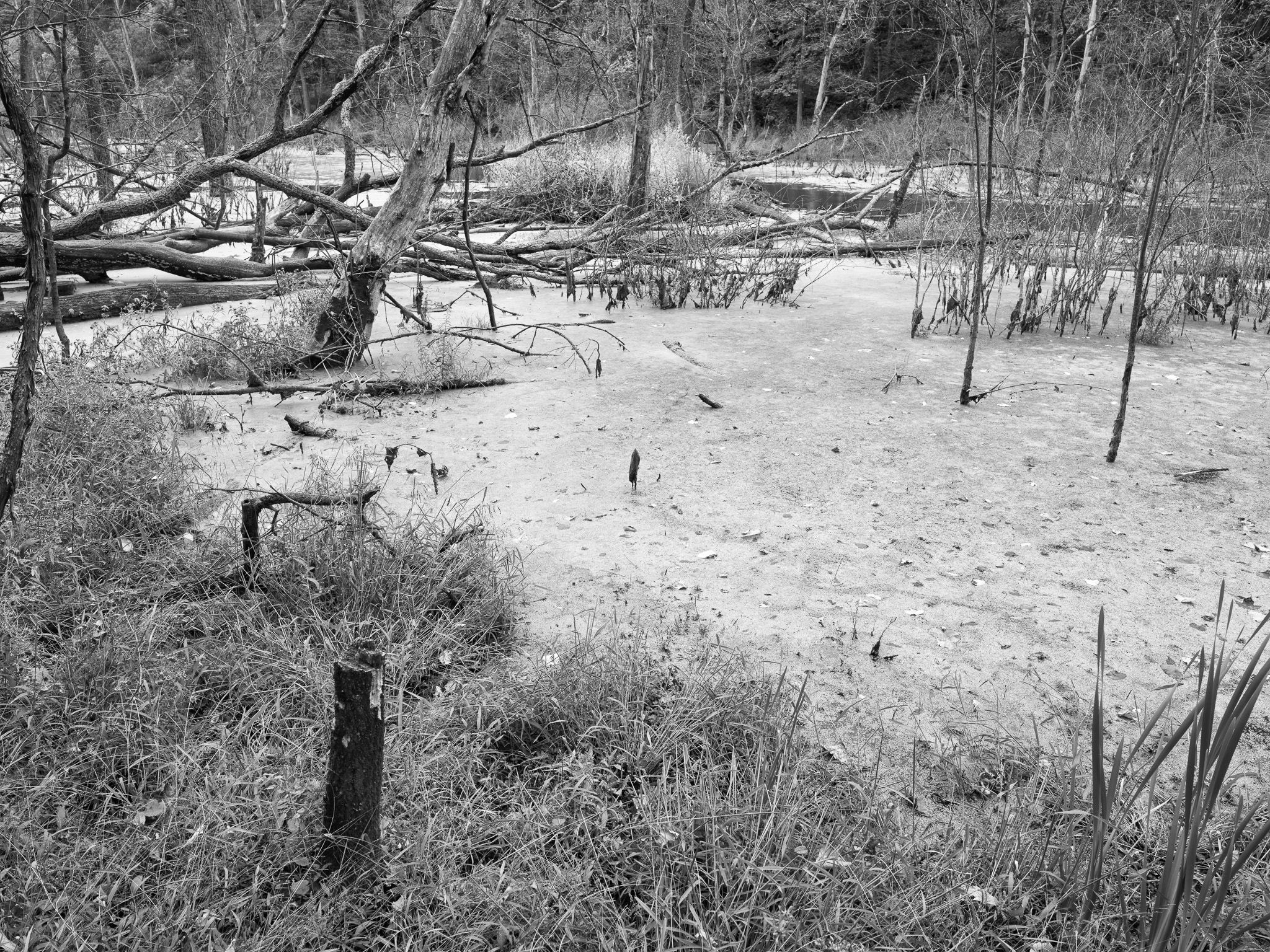 Glen Helen Nature Preserve I