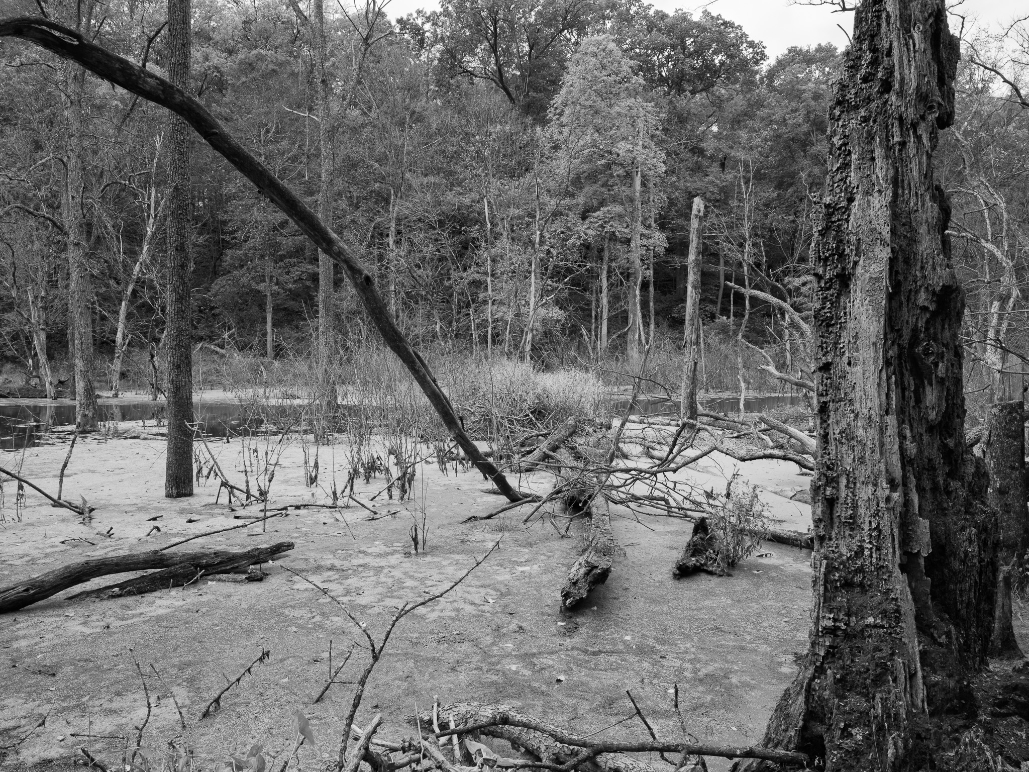 Glen Helen Nature Preserve II