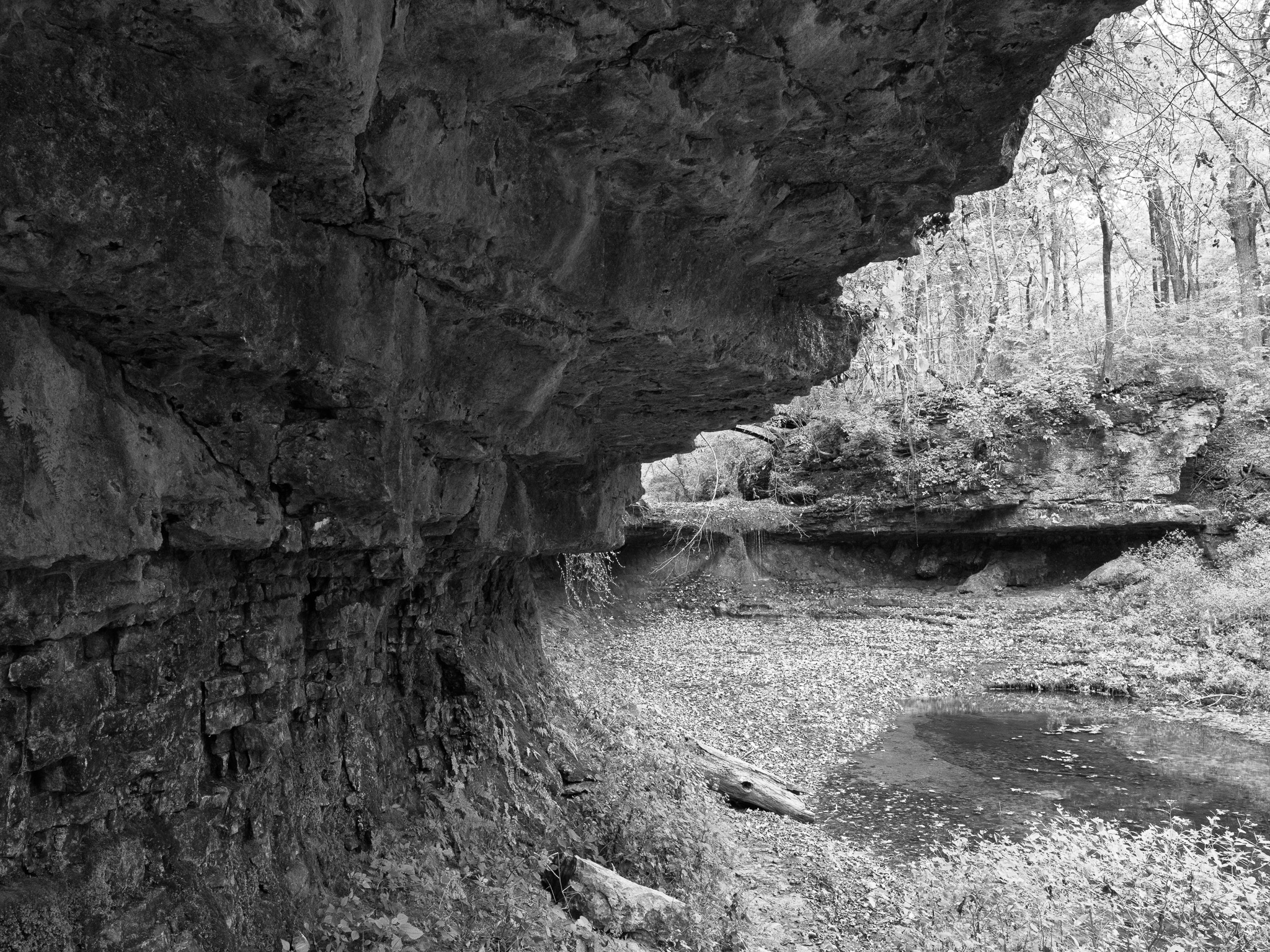 Glen Helen Nature Preserve III