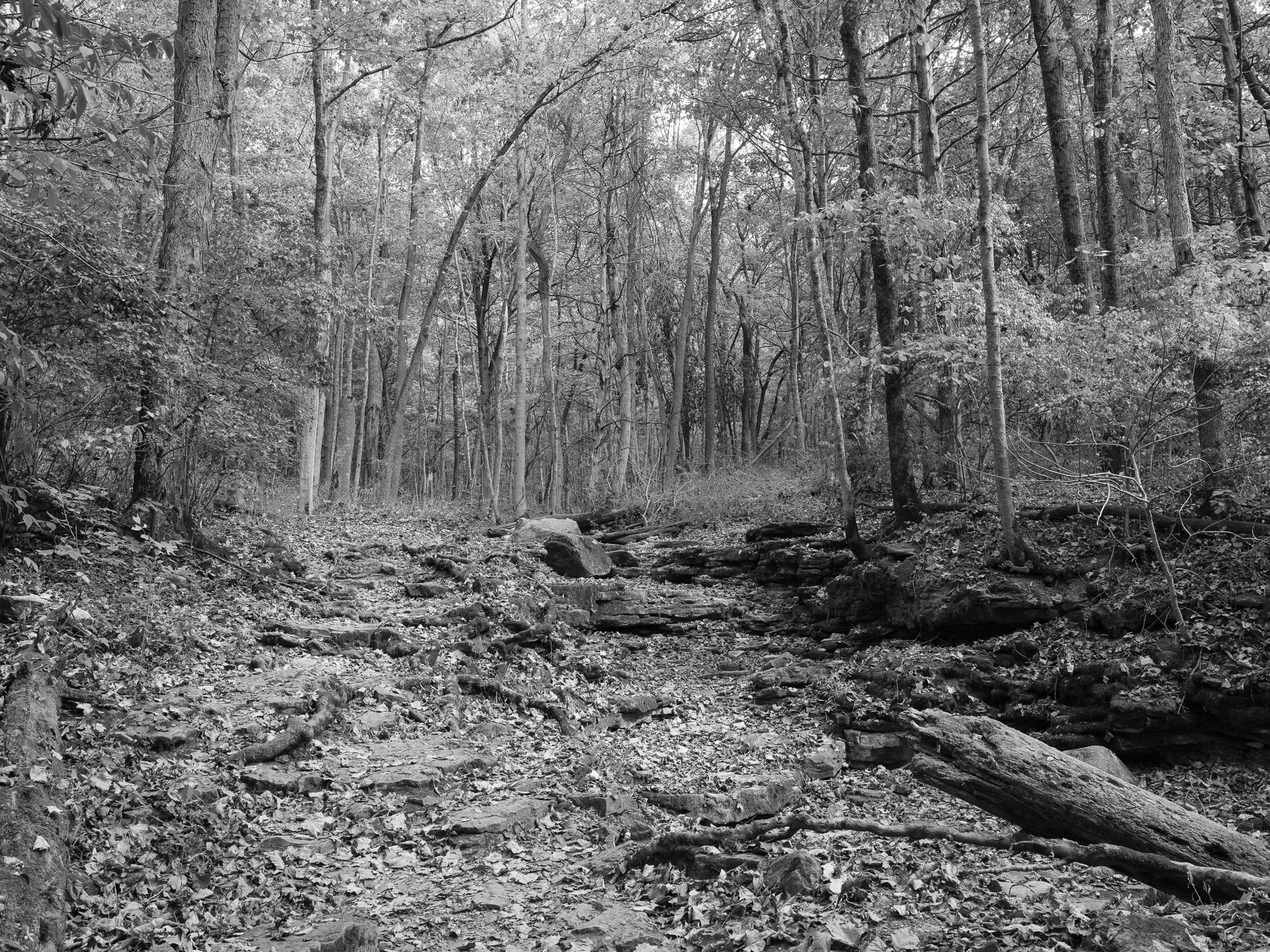 Glen Helen Nature Preserve IV