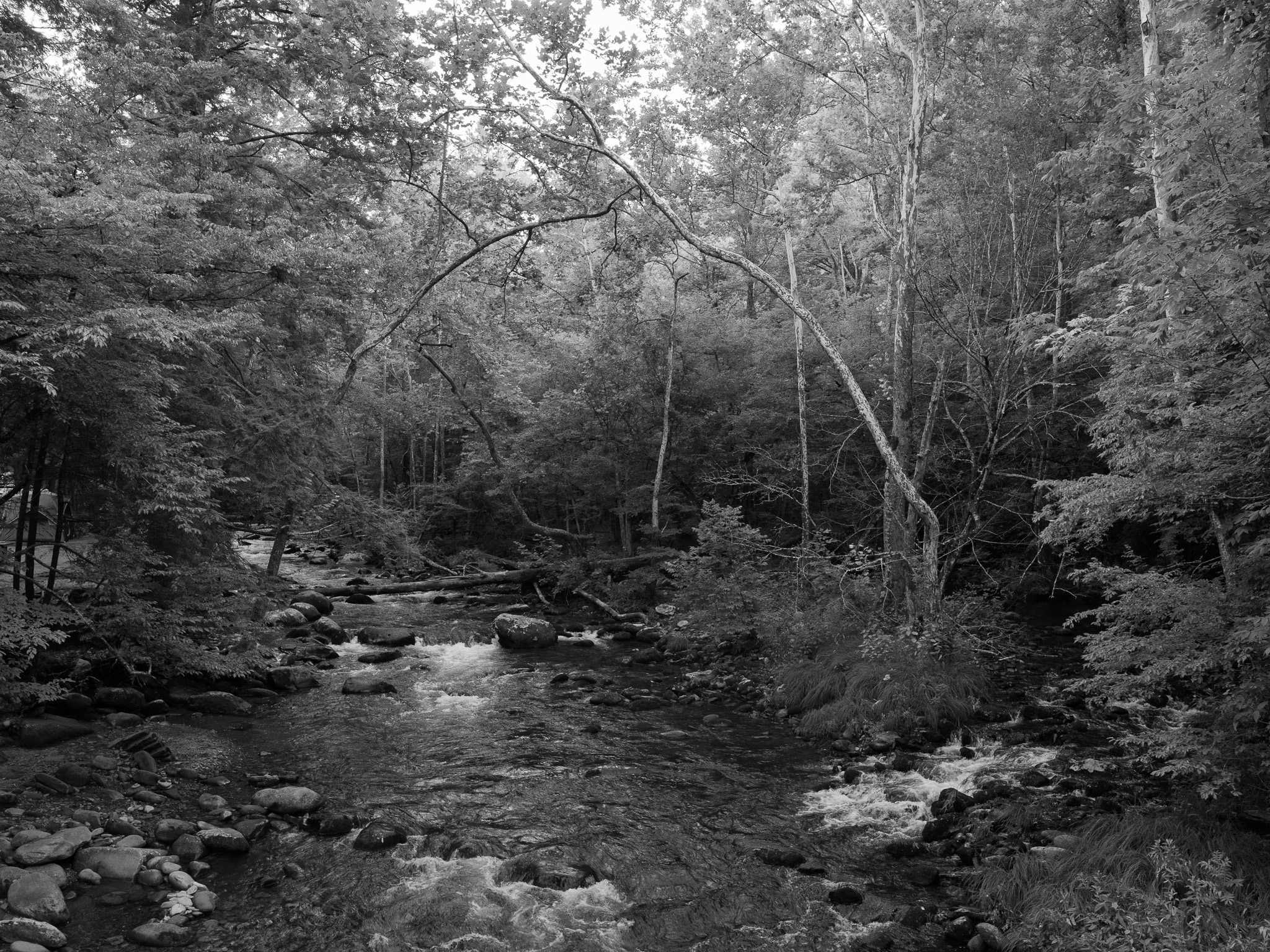 Great Smoky Mountains National Park 2