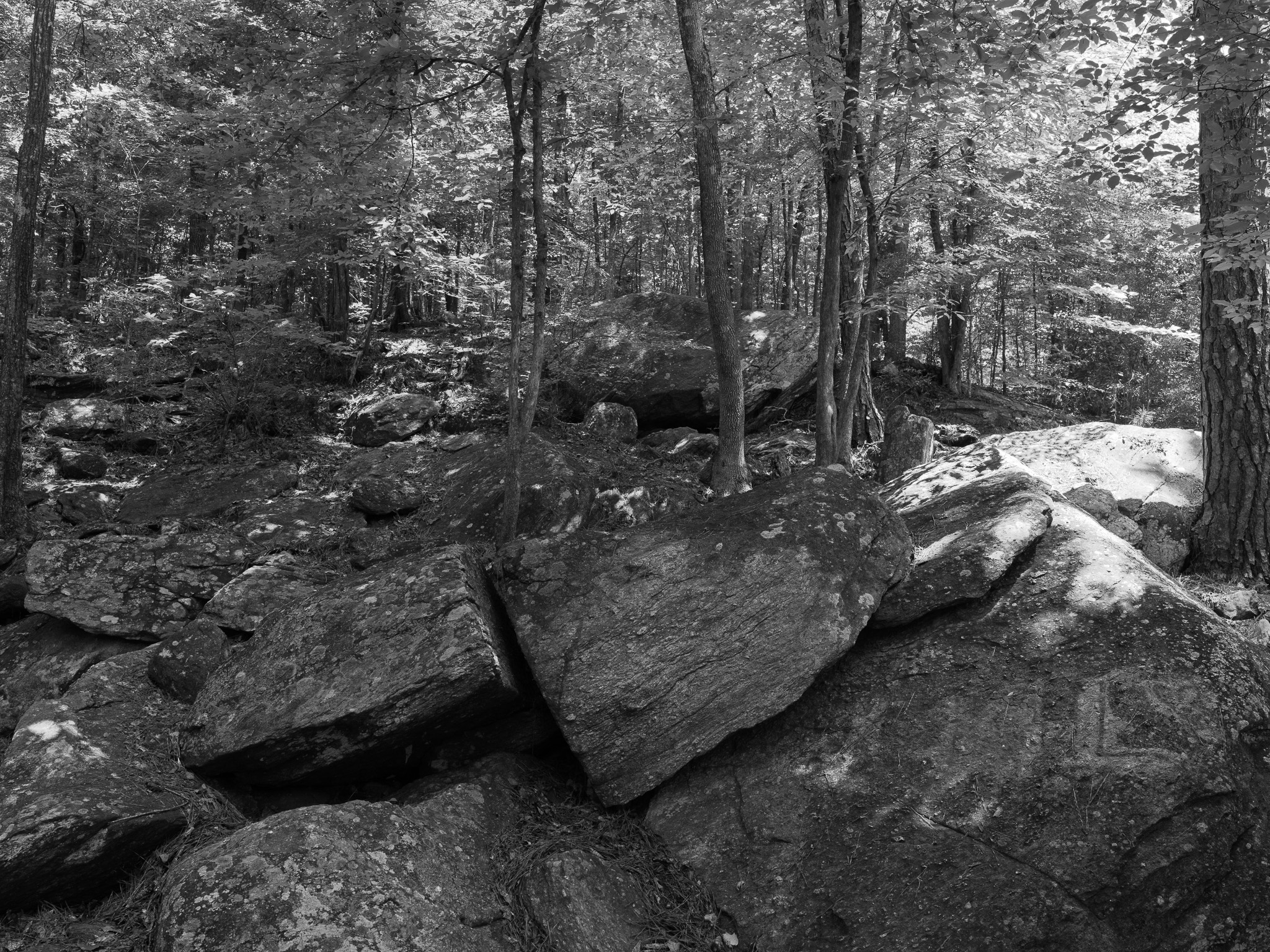 High Falls State Park 5