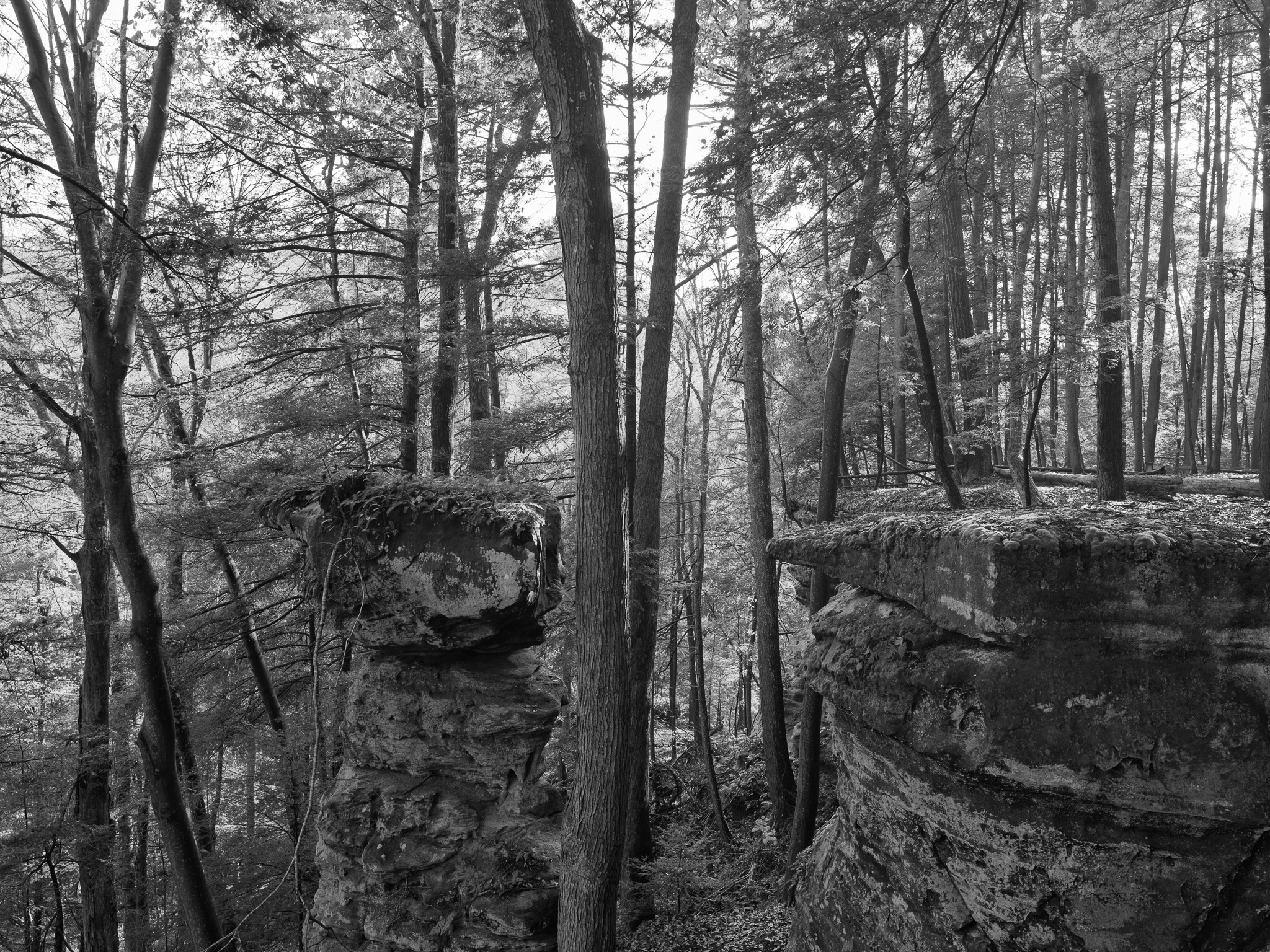 Hocking Hills State Park II