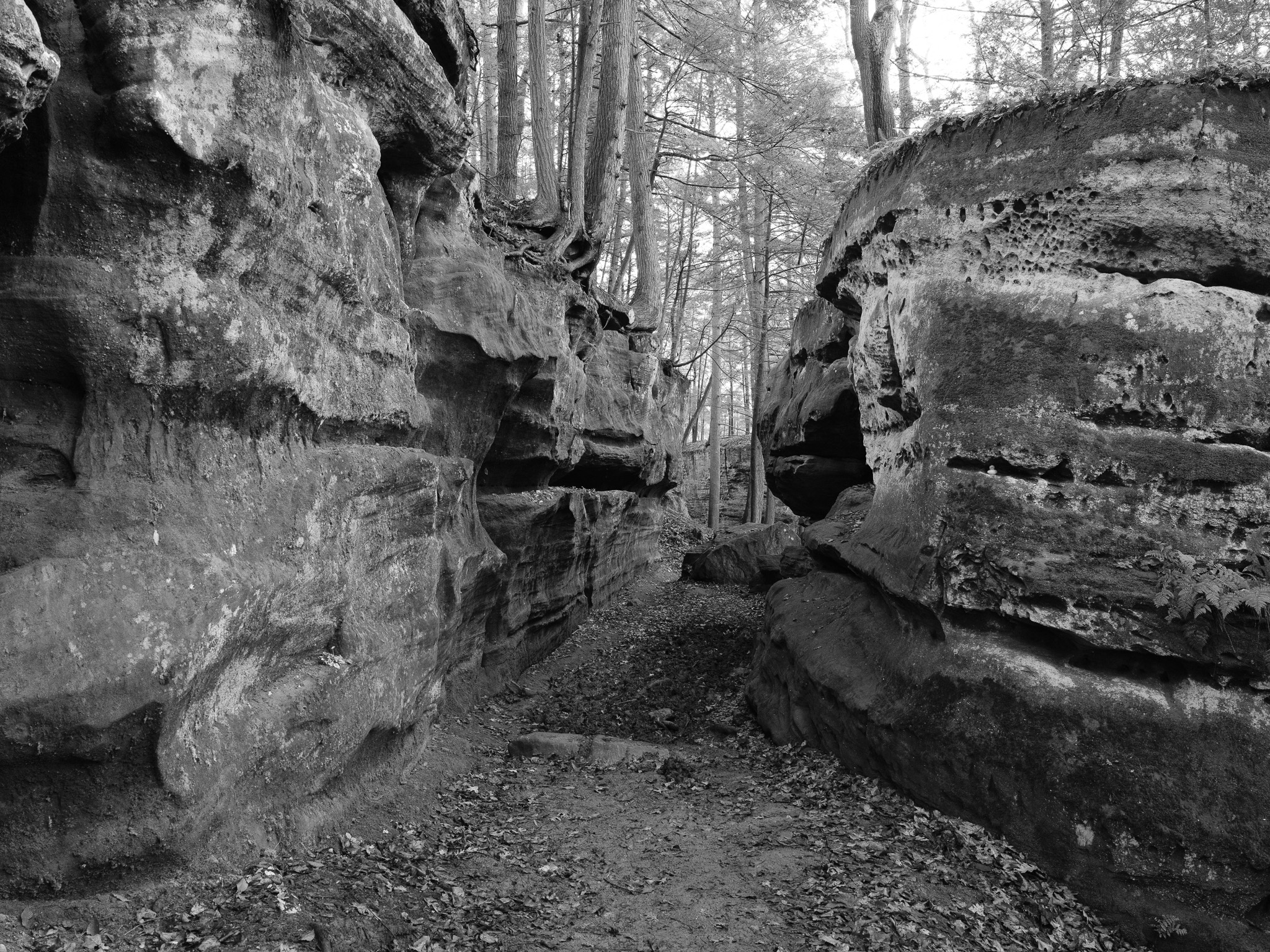 Hocking Hills State Park III