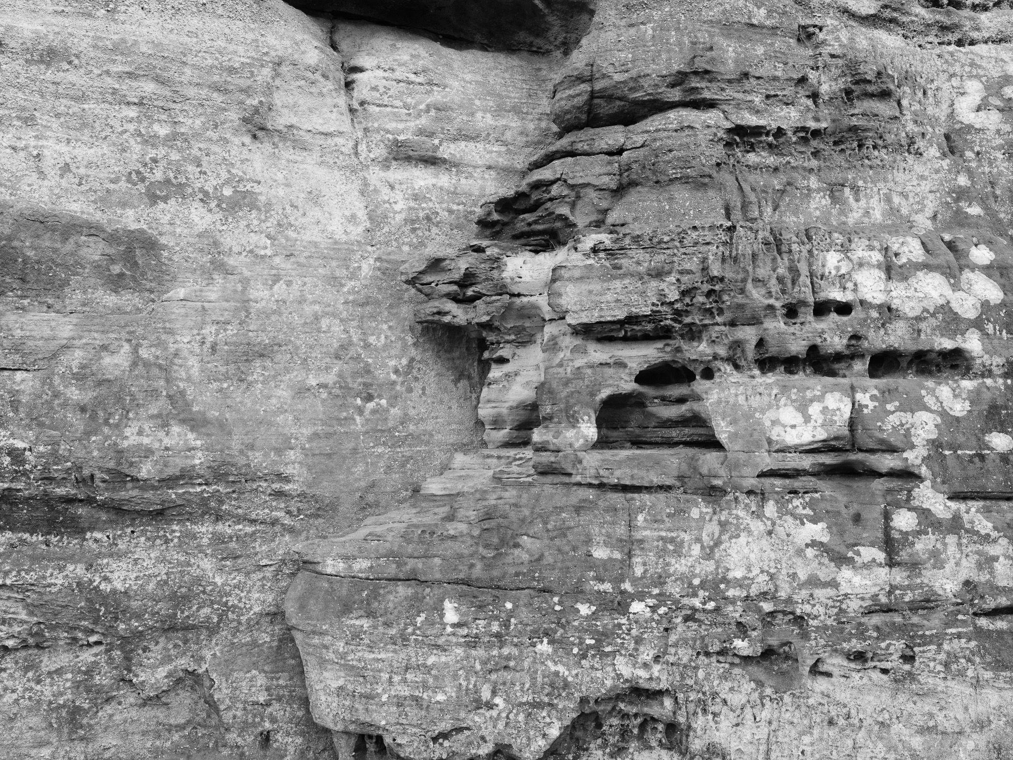 Hocking Hills State Park V