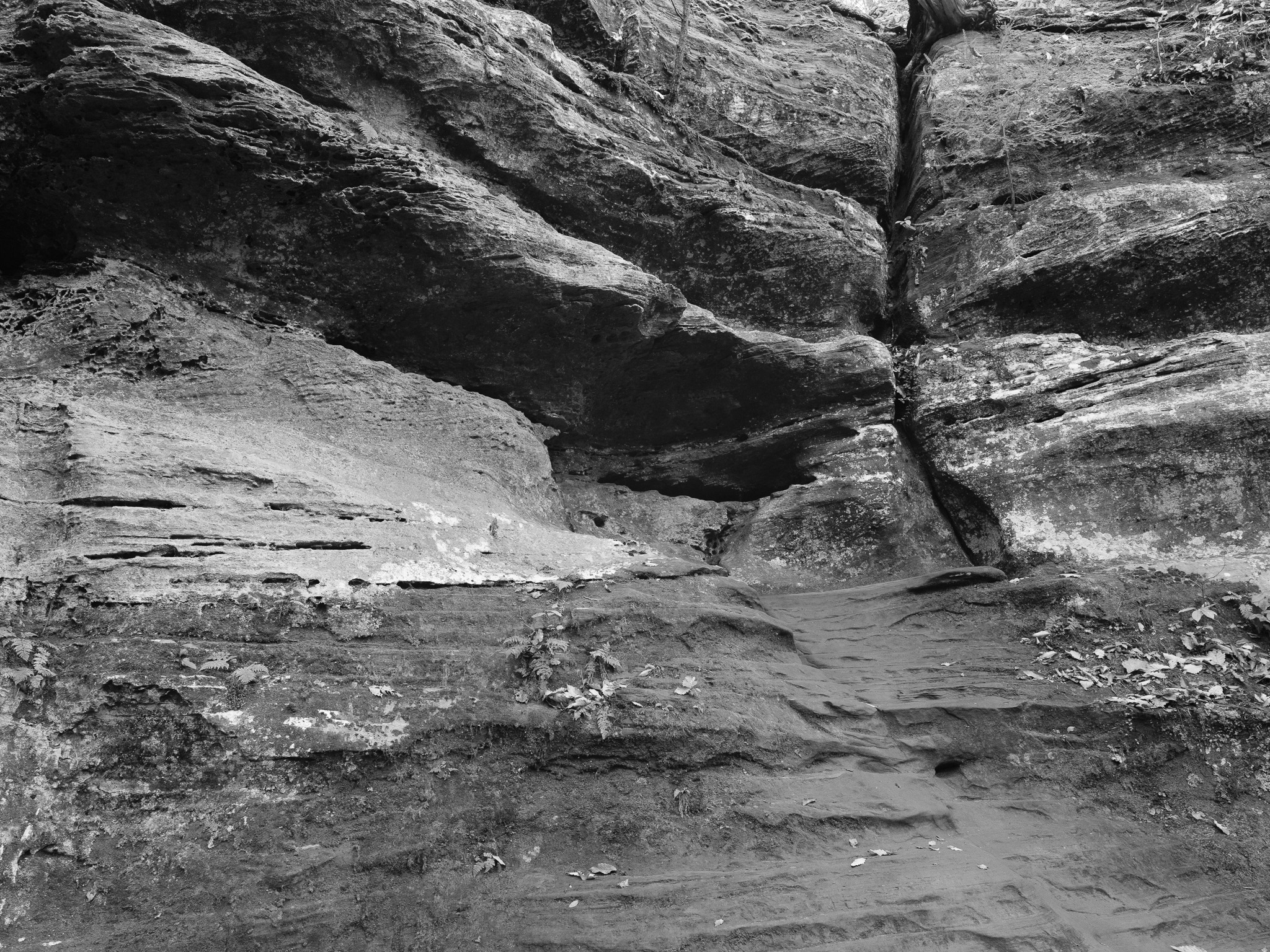 Hocking Hills State Park VII