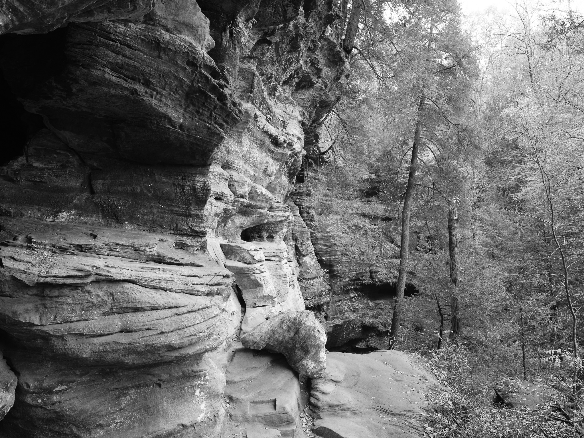 Hocking Hills State Park VIII