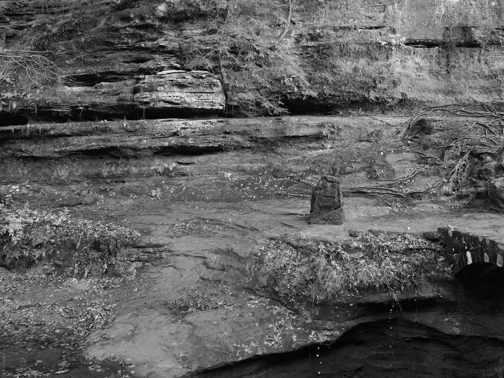 Hocking Hills State Park XIII