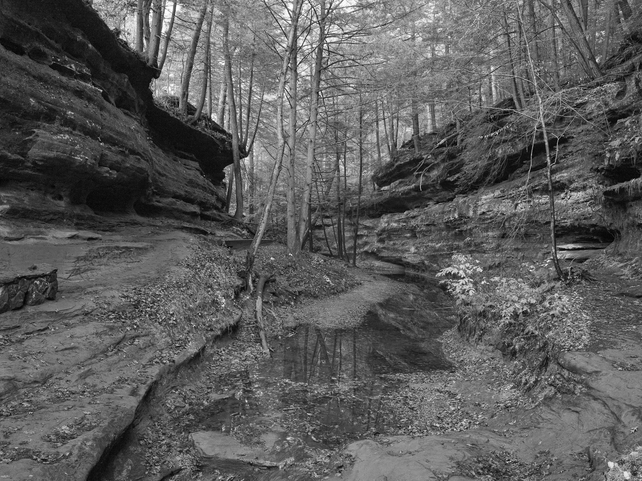 Hocking Hills State Park XIV