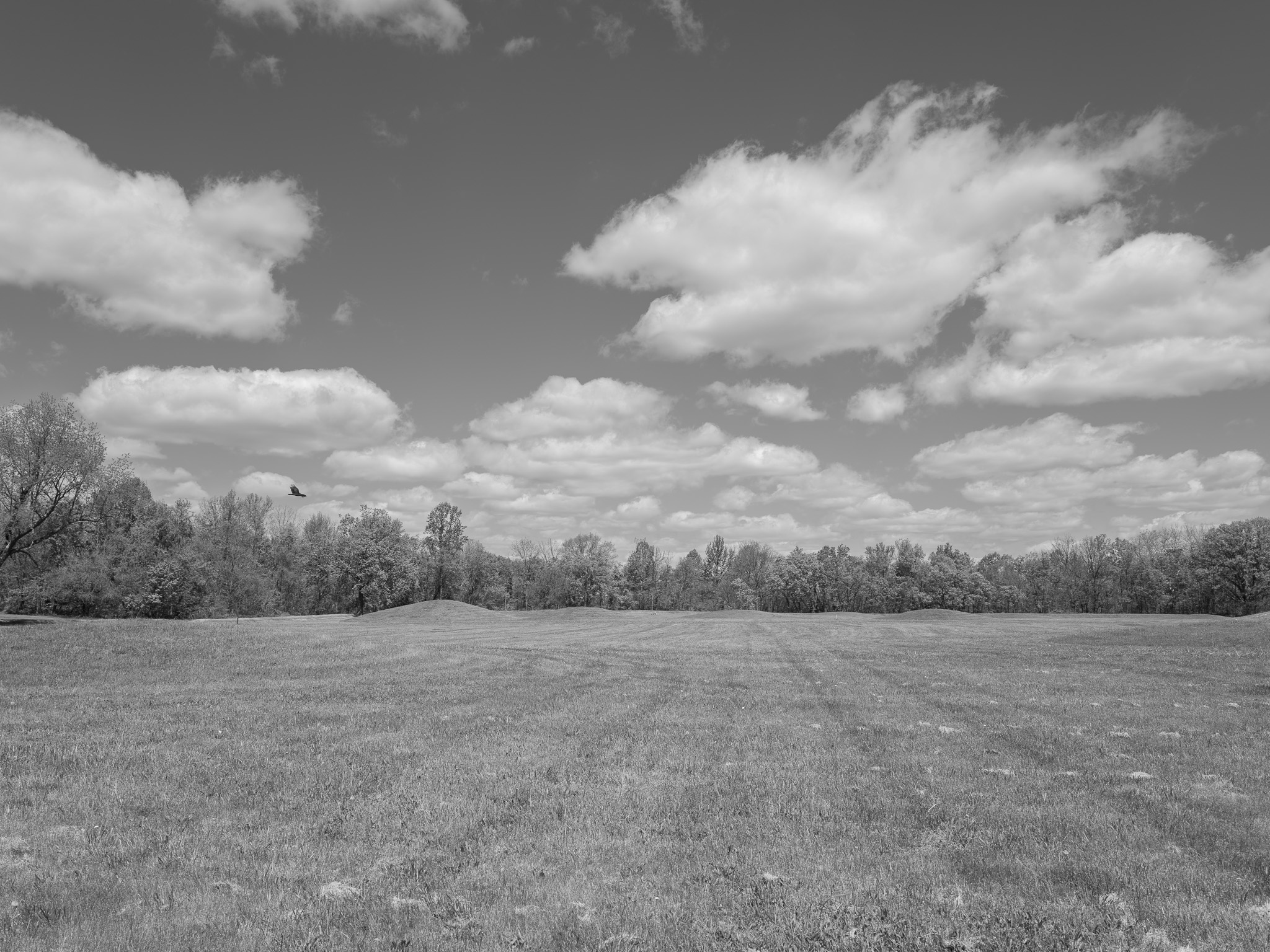 Hopewell Culture National Historical Park I