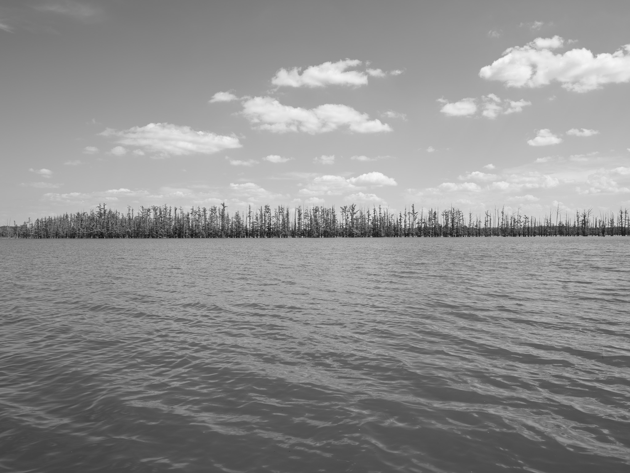 Hovey Lake Fish and Wildlife Area 1