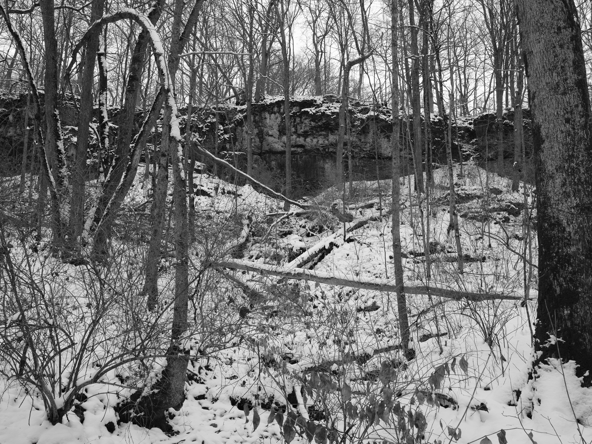 John Bryan State Park IV