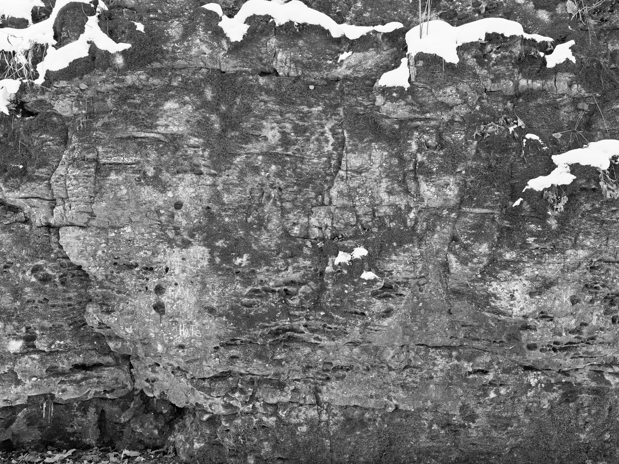 John Bryan State Park VI