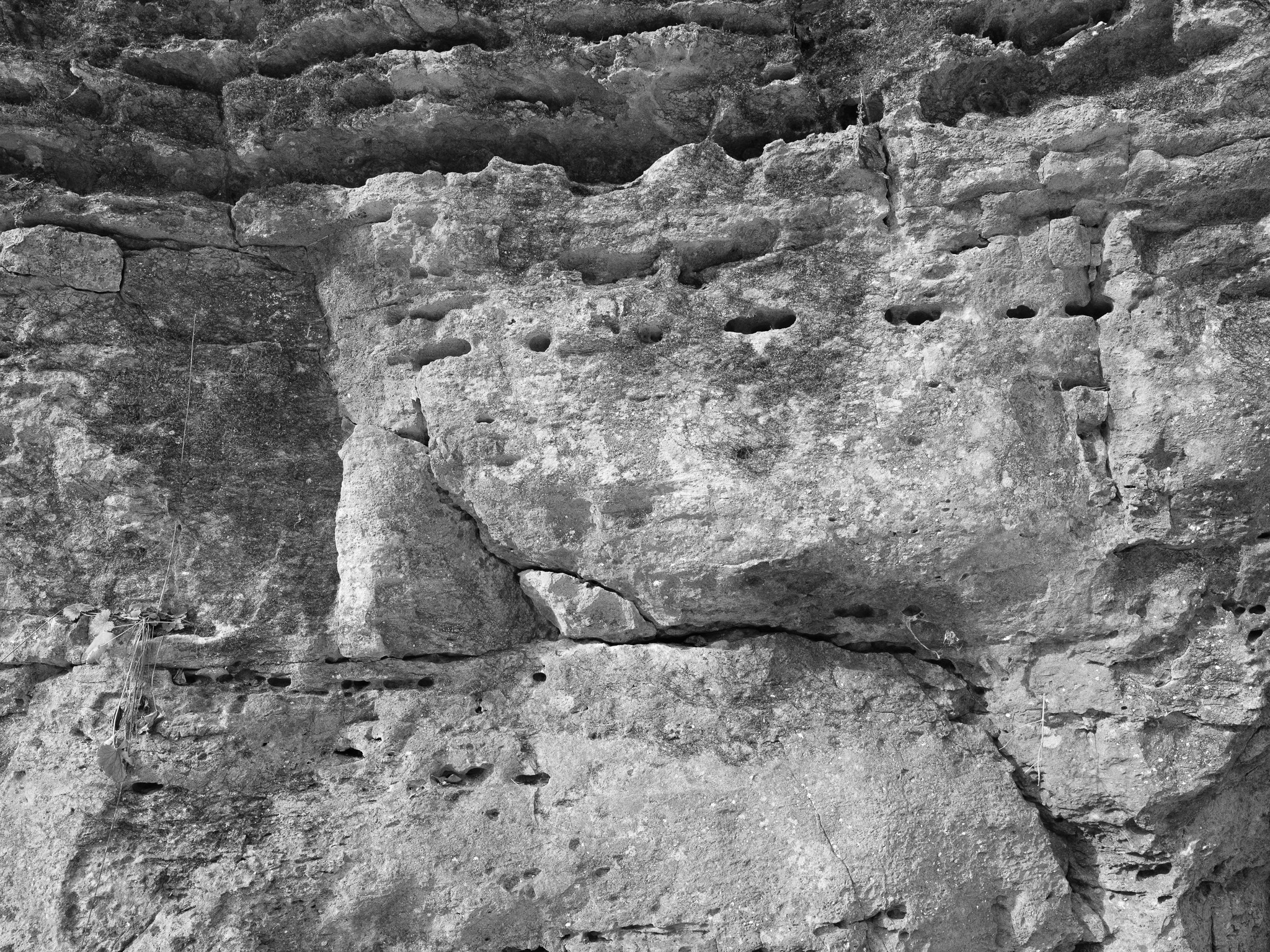 John Bryan State Park VII