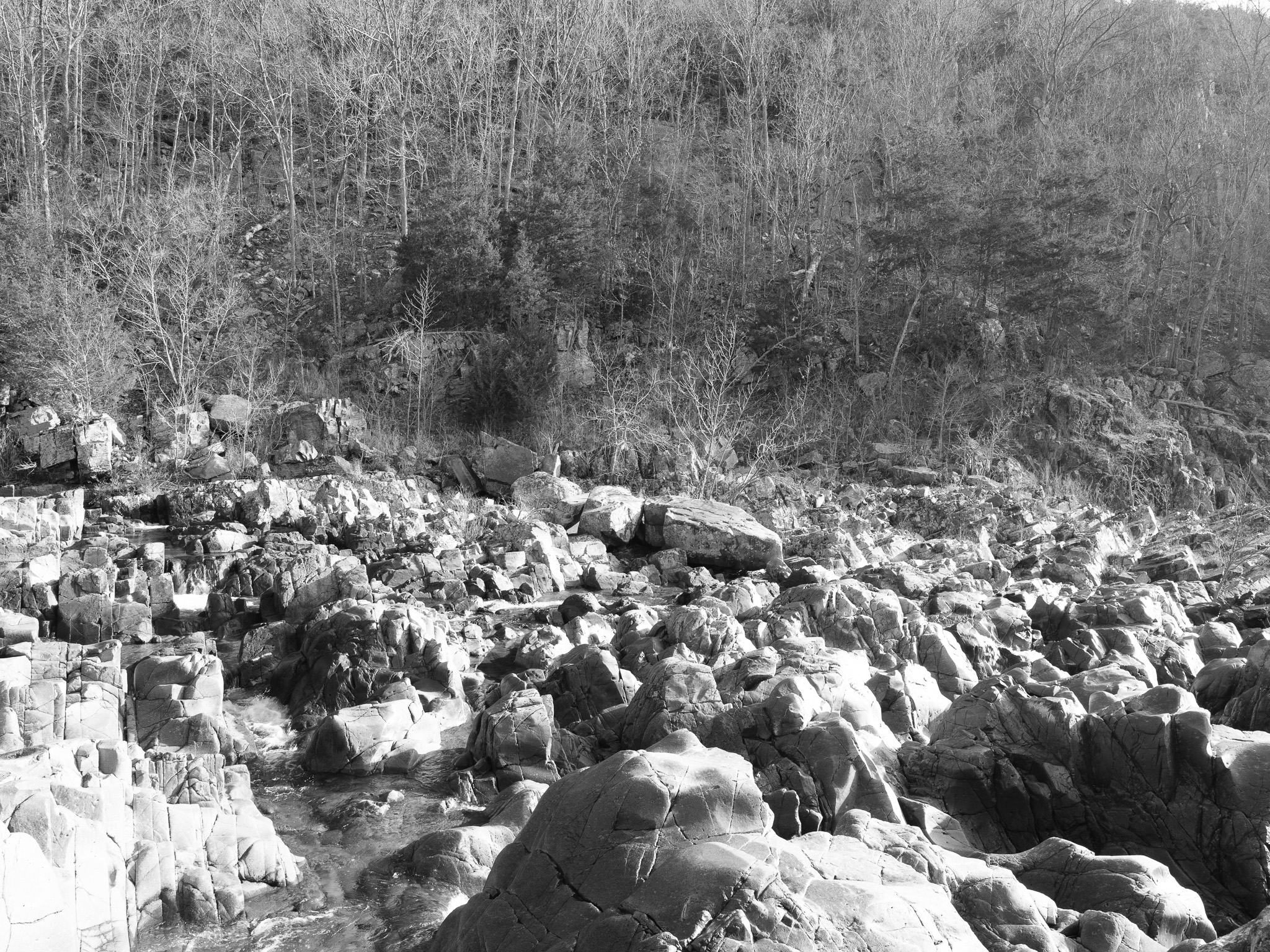 Johnson's Shut-Ins State Park VII