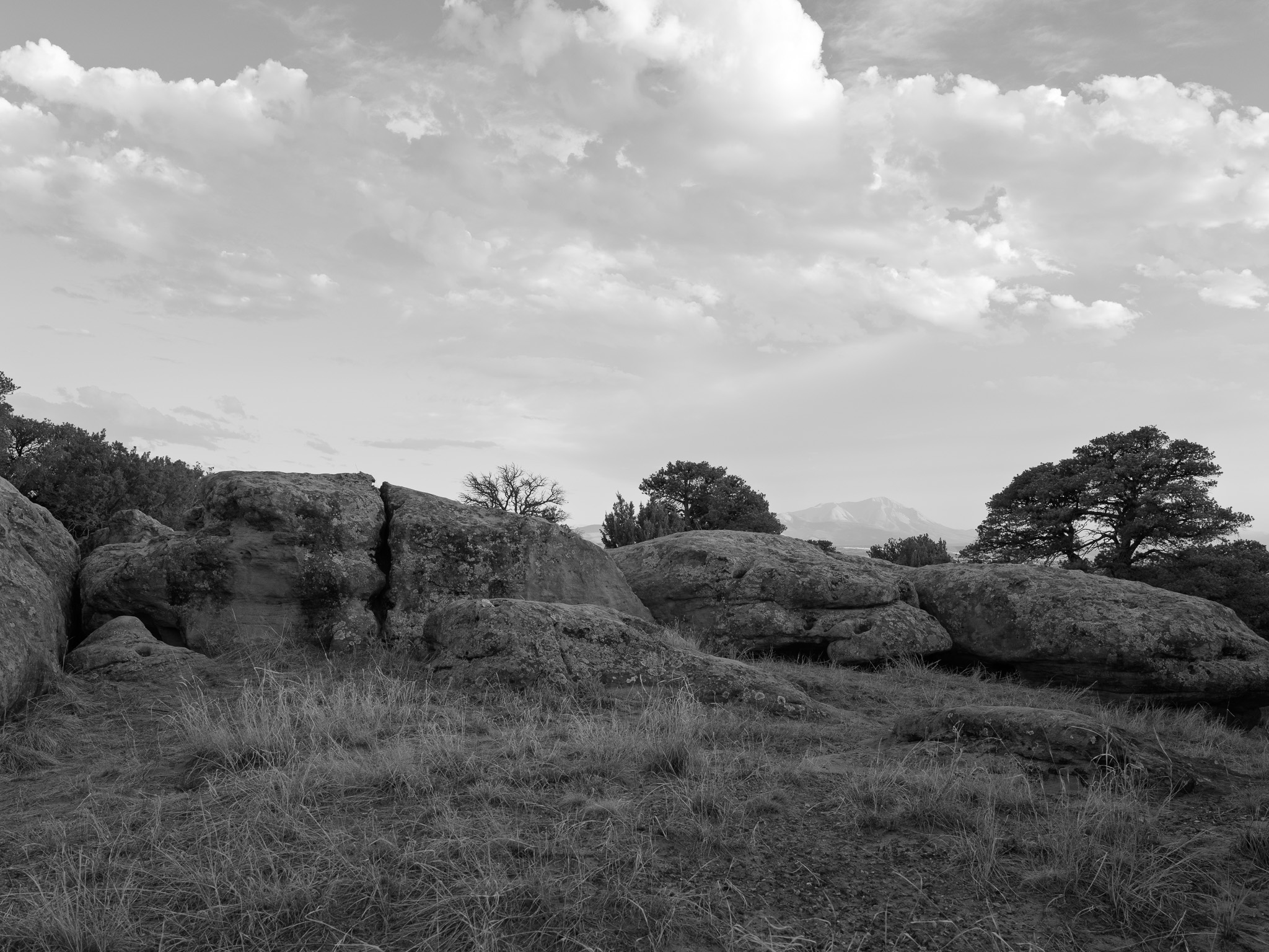 Lathrop State Park 2